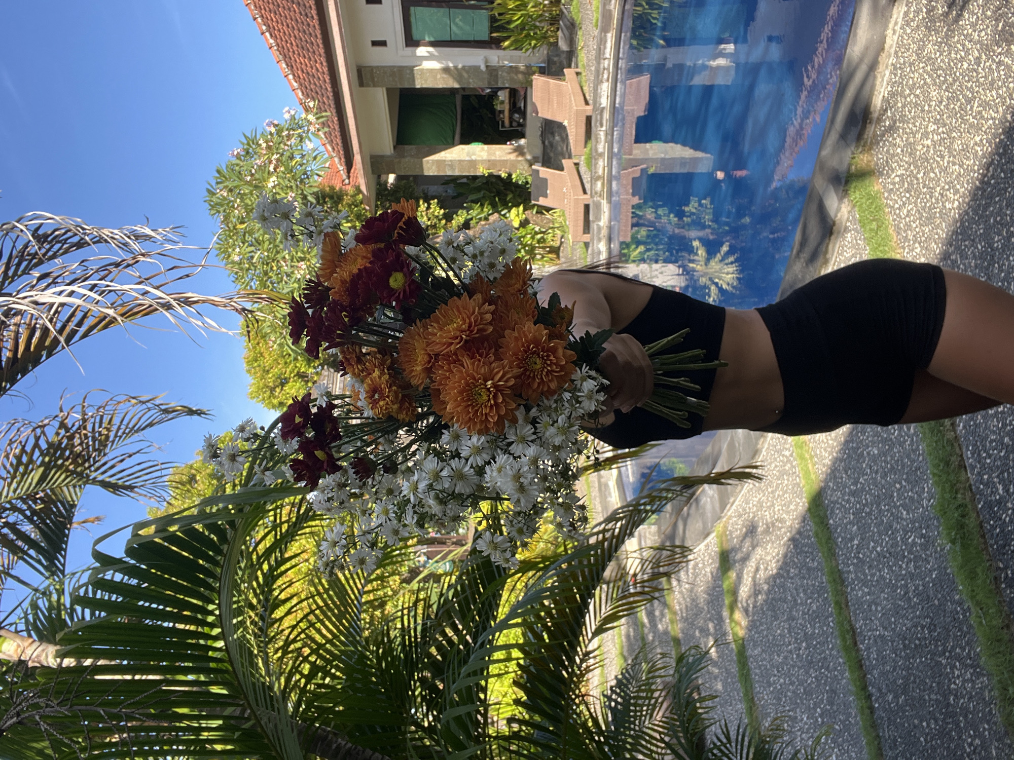 This image captures an outdoor scene in Kuta Selatan, Indonesia, on a bright and sunny day. The clear blue sky and strong shadows indicate it is likely mid-morning or afternoon.
The primary subject is a person, partially visible, holding a large and vibrant bouquet of flowers. The person is wearing a black crop top and black shorts, with their arms, midriff, and legs visible, but their face and upper torso are obscured by the flowers. The bouquet is rich with orange and deep red chrysanthemums, complemented by numerous small white daisy-like flowers.
The setting appears to be a tropical resort or villa. In the background, a building with a distinct red-tiled roof and light-colored walls is visible, featuring windows that reflect the clear sky. Adjacent to the building is a swimming pool with bright blue water, also reflecting surrounding elements. The ground near the pool is a textured, light-colored pebbled surface, interspersed with neat strips of green grass. Lush tropical vegetation dominates the scene, with large palm fronds framing the foreground and various other leafy trees filling the mid-ground and background, enhancing the exotic atmosphere. The person appears to be posing for a photograph, showcasing the beautiful flowers and the scenic environment. There is no visible text in the image.