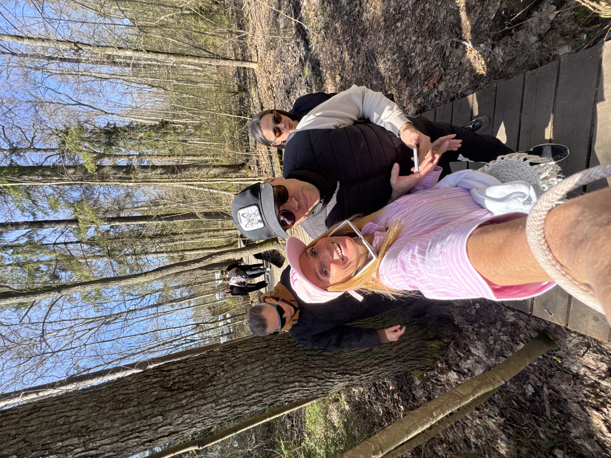 The image captures a group of people taking a selfie on a wooden boardwalk in a forest, likely in Zelenogorsk, Russia. The environment consists of tall trees with sparse foliage, suggesting early spring or late autumn. The ground is covered in fallen leaves and debris.
In the foreground, a woman wearing a pink striped shirt and a pink hat holds a camera or phone, presumably taking the selfie. To her left, another person wearing sunglasses and a black baseball cap with a white logo is partially visible. Behind them, another person is wearing a black jacket and sunglasses. A fourth person is visible standing further behind, also wearing black.
The lighting is bright and sunny, creating sharp shadows on the ground and the boardwalk. The background shows more trees and a clear blue sky, indicating a sunny day.