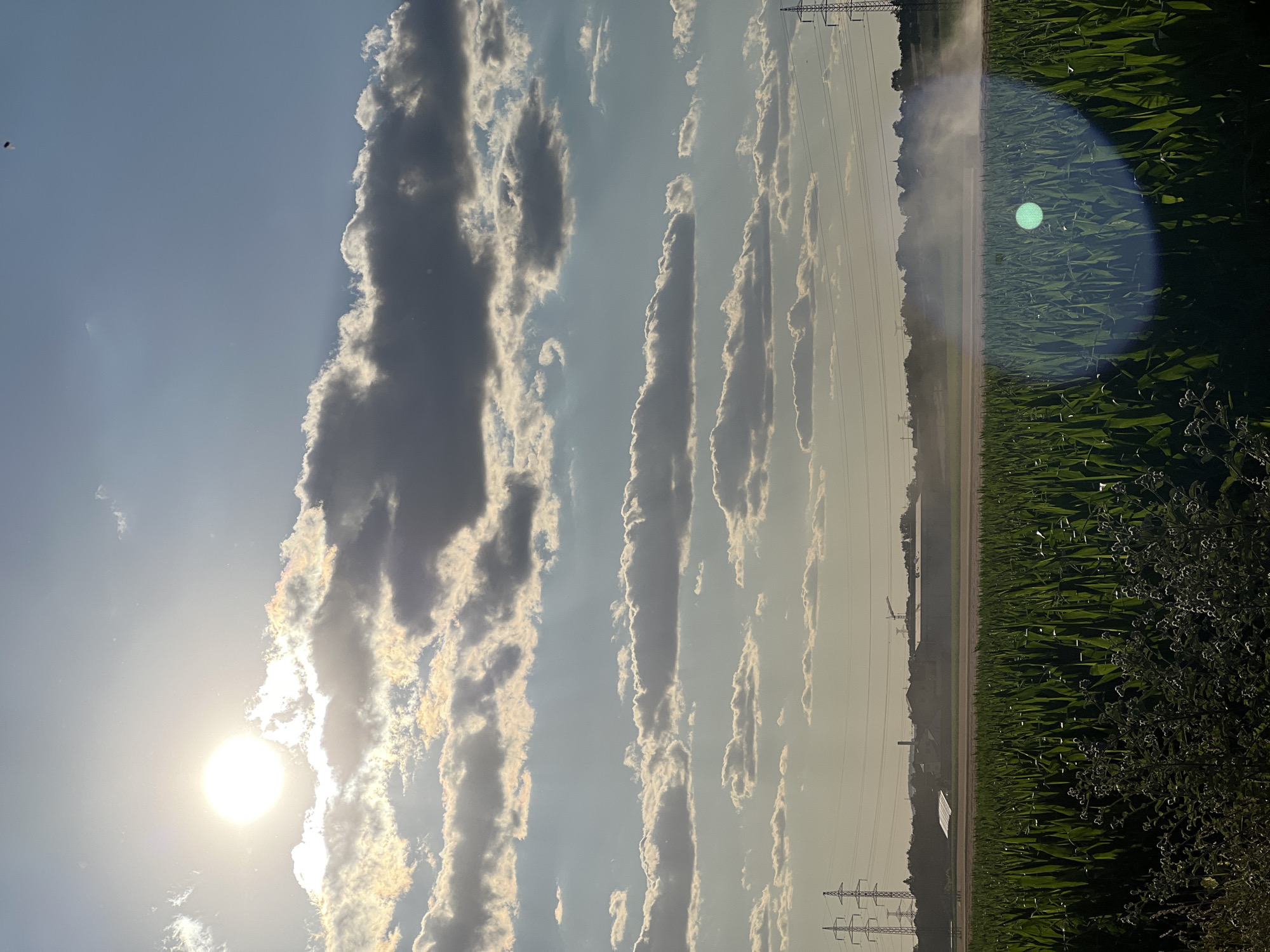 The image depicts a rural landscape scene, likely in the vicinity of Újezd u Brna, Czechia, during daylight. The foreground is dominated by a dense field of tall green cornstalks, with some smaller plants and weeds visible at the very bottom. In the mid-ground, a dirt path runs horizontally, and a piece of agricultural machinery, possibly a combine harvester, is actively working, kicking up a significant amount of dust or spray. The background features a line of trees and buildings, including what appears to be industrial structures and a crane. Tall power pylons with electrical wires are visible on both the left and right sides of the frame, extending towards the horizon. The sky is partially filled with dramatic clouds, illuminated by a bright, hazy sun located in the upper left quadrant. The overall lighting suggests it is either late morning or late afternoon, with the sun's rays creating a bright glare and highlighting the atmospheric haze.