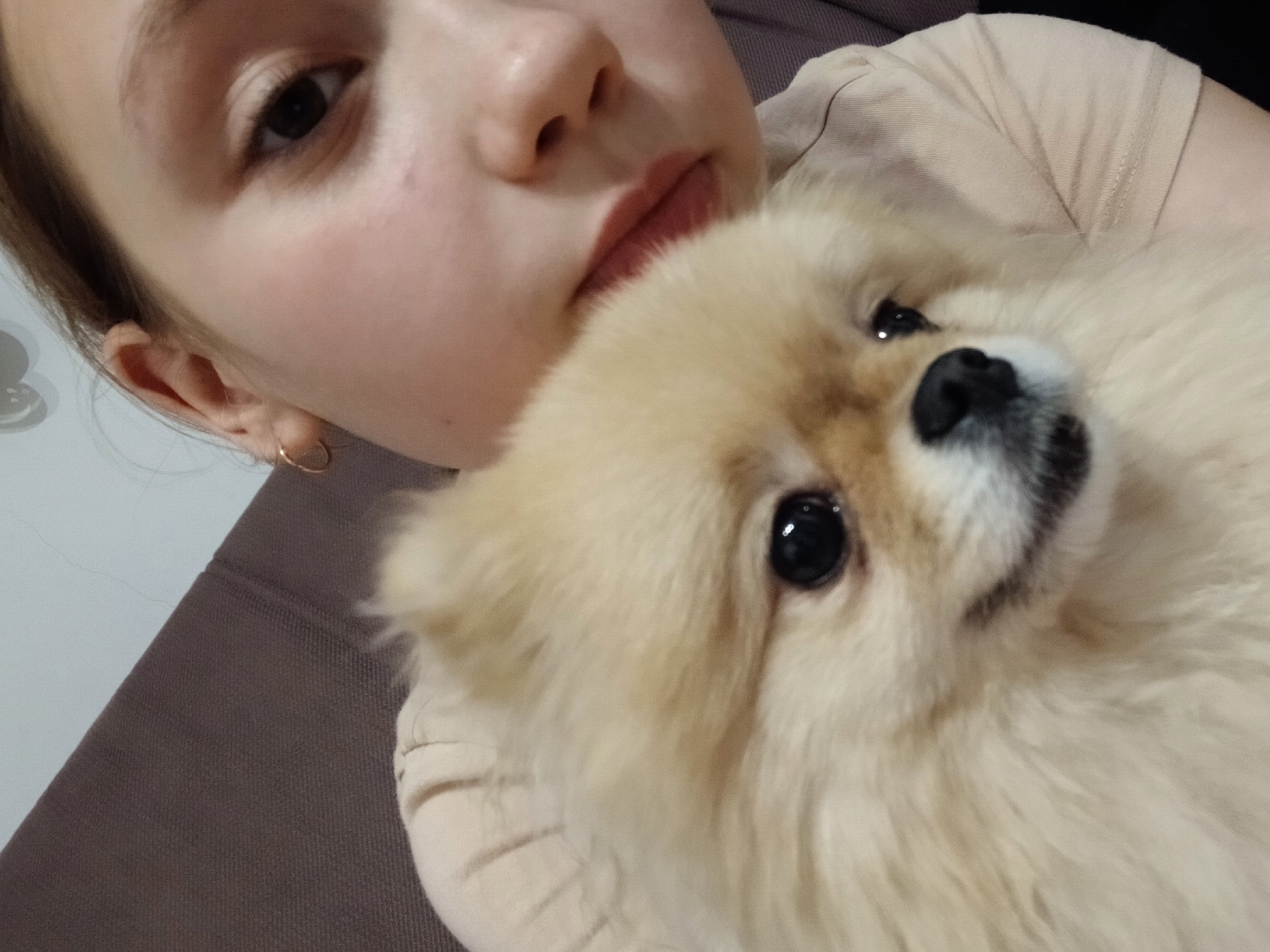 A close-up shot features a young woman and a Pomeranian dog. The woman's face is partially visible, revealing a brown eye, fair skin, and a gold hoop earring. Her lips are pressed slightly together. She is wearing a light beige t-shirt. The dog is close to the woman's face, looking toward the camera. It has cream-colored fur and a black nose. The background includes a dark brown couch and a light-colored wall. There is no evidence to suggest the location is Krasnodar, Russia.