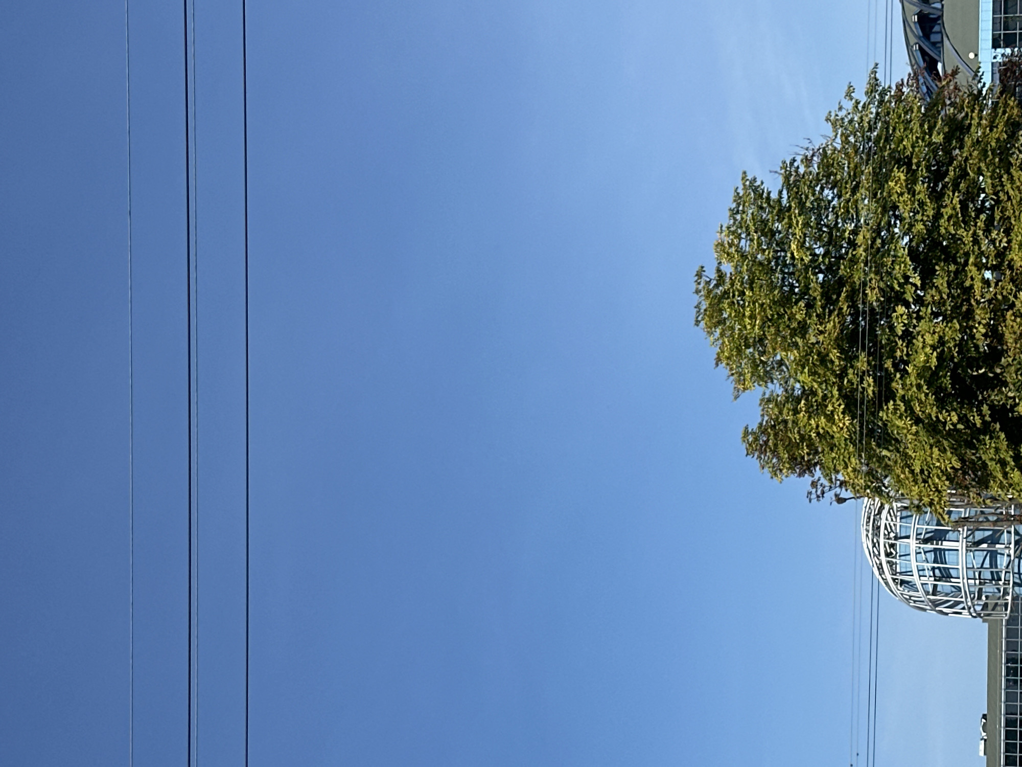 The image shows a clear blue sky with three thin horizontal lines, likely power lines, stretching across the upper portion. Below the sky, a lush green tree with dense foliage is prominently featured in the mid-right of the frame. To the left of the tree, a unique, spherical building with a white, latticed exterior and blue windows is partially visible. The building's architectural style suggests it could be a modern structure, possibly a greenhouse or a specialized exhibition hall. A portion of a lower building with a dark green roof is also visible beneath the spherical structure. The overall scene appears to be an urban environment, possibly a park or a streetscape with modern architecture.