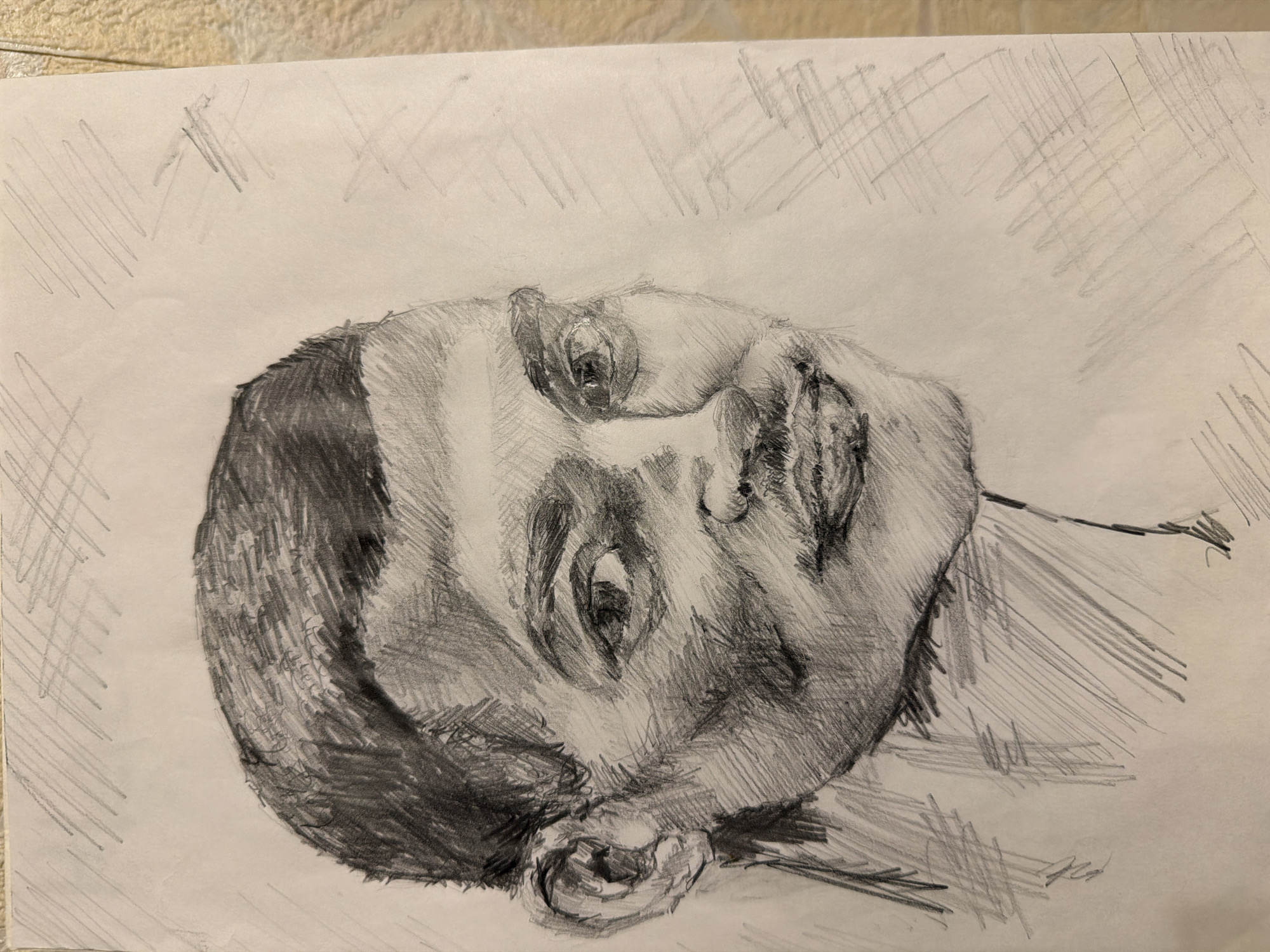 The image is a pencil sketch of a human face. The face is depicted at an unusual, slightly angled, perspective with the subject looking upwards. The shading suggests depth and dimension to the facial features. The drawing is unfinished, and the background is filled with light, diagonal hatching lines. There is no indication of a location.