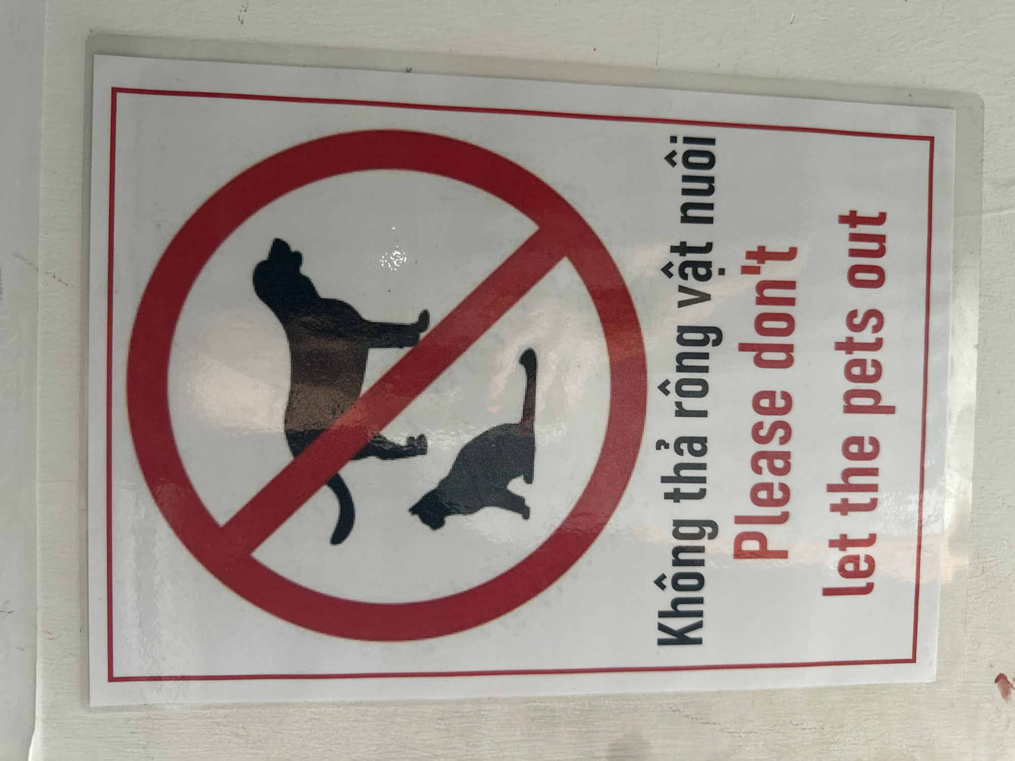 A sign in Bac Nha Trang Ward, Vietnam indicates that pets are not allowed. The sign features a red circle with a diagonal line through it, superimposed over a silhouette of a standing dog and a crouching cat. To the right of the image are the words "Không thả rông vật nuôi" in Vietnamese, followed by "Please don't" and "let the pets out" in English, stacked vertically in black and red text respectively. The sign is white with a thin red border.