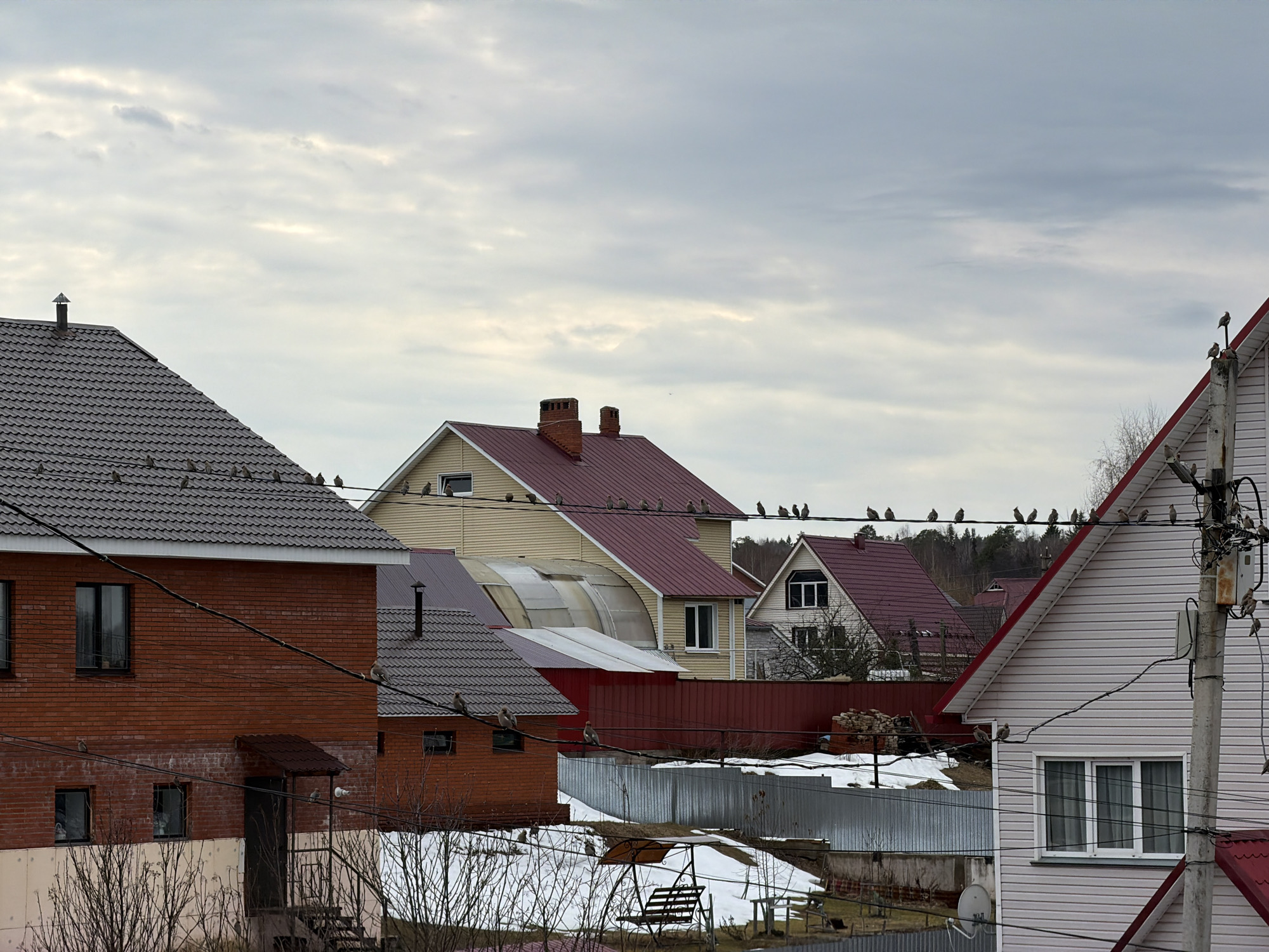 The image depicts a residential area in the city of Chaikovsky, Russia, characterized by a series of houses under a cloudy sky. The houses exhibit various architectural styles and are constructed with different materials, including brick and siding. Some houses have red or gray tiled roofs. Power lines crisscross the scene, and numerous birds are perched on the wires. Patches of snow are visible in the yards between the houses, suggesting late winter or early spring. A swing set sits amidst the melting snow in the foreground. A utility pole is also visible.