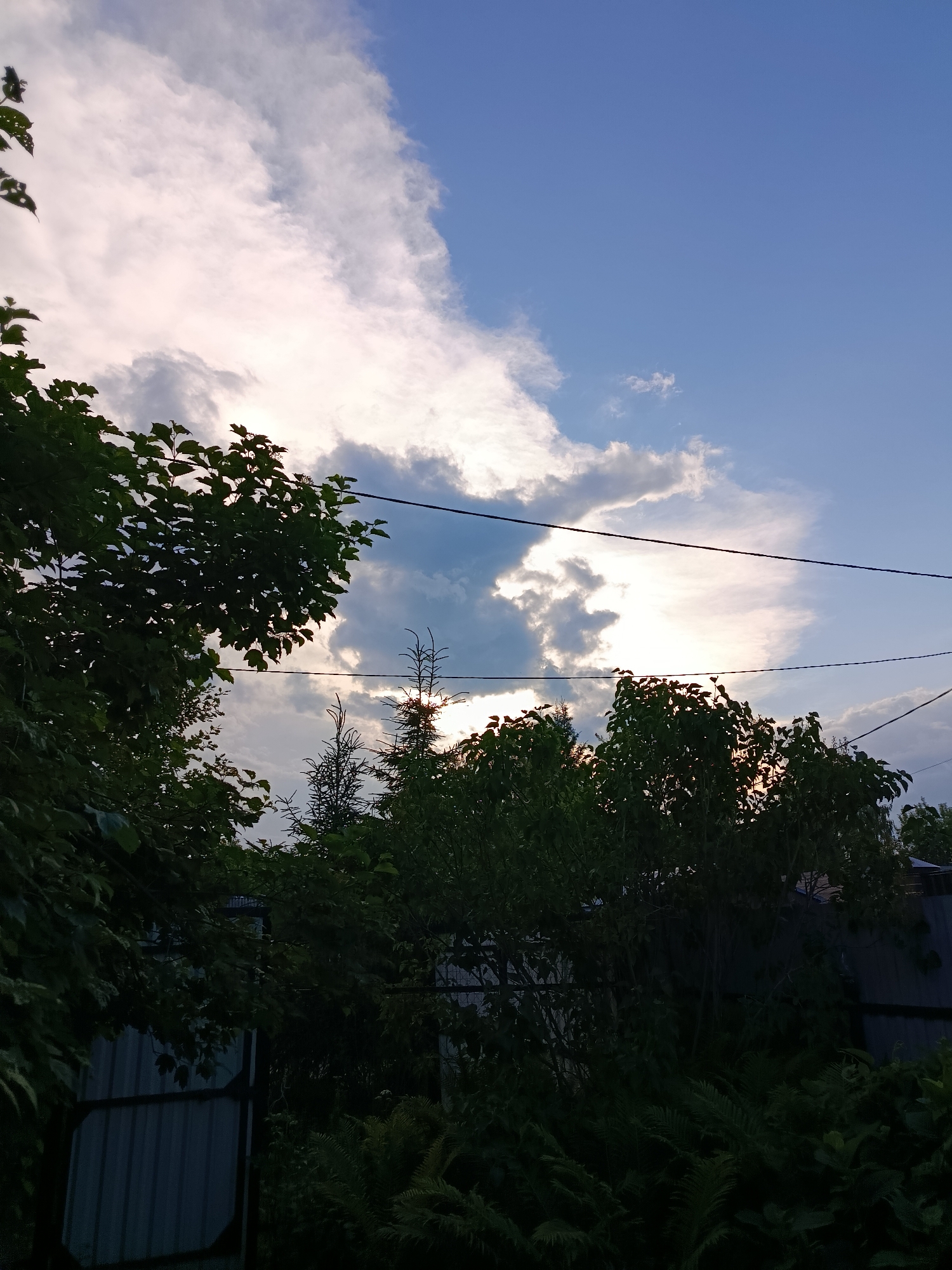 The image depicts a natural outdoor scene in Veriya, Russia, possibly in a backyard or garden area. The sky is a prominent feature, transitioning from a clear blue at the top right to a dramatic, cloud-filled expanse where sunlight breaks through in the upper left and center. The clouds are a mix of bright white and darker grey, suggesting dynamic weather conditions.
Silhouetted against the sky are the dark green leaves and branches of several trees and other foliage. In the foreground, a light-colored, corrugated metal fence runs horizontally across the bottom left and extends towards the right edge of the frame. Behind the fence, dense greenery, including what appears to be ferns, creates a dark, shadowed layer.
Two dark electrical wires stretch horizontally across the mid-section of the image, bisecting the view of the sky and the trees. The lighting suggests it is either early morning or late afternoon, with the sun low on the horizon and partially obscured by clouds and trees, casting a soft glow. There are no people visible in the image, and the scene is static, with no discernible action taking place. The overall impression is one of a serene, perhaps slightly overcast, natural landscape within a residential or semi-rural setting.