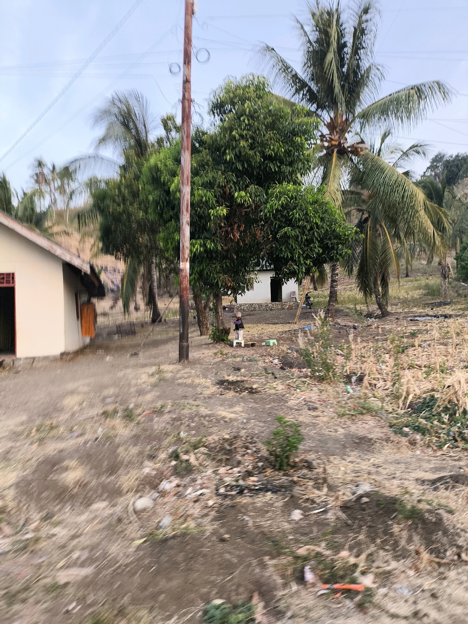 The image depicts an outdoor scene in a rural or semi-rural area, possibly in Unknown, Indonesia, characterized by dry vegetation, scattered debris, and several trees, including prominent coconut palms. A light-colored building with an orange-trimmed opening is visible on the left, appearing to be a simple dwelling. To the right of the building, a wooden utility pole with visible wires stands near a cluster of trees. In the mid-ground, there's another smaller white building and a person, appearing to be a child, sitting on a small stool near some green plastic objects. The ground is predominantly dry earth and sparse, desiccated vegetation. The overall impression is one of a humble settlement in a warm, possibly arid climate.