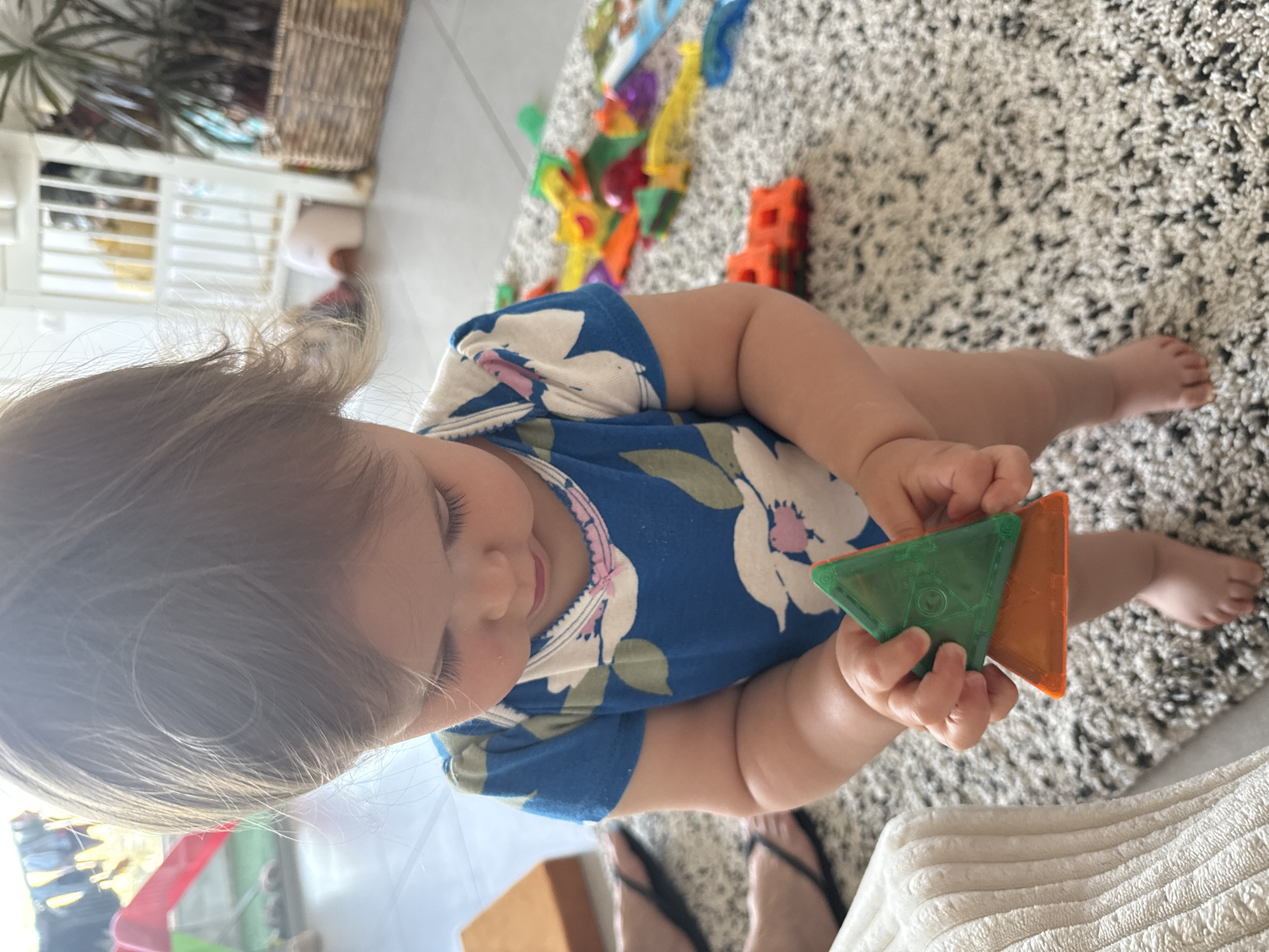 This high-angle, indoor shot captures a baby or young toddler playing on a light-colored, shaggy rug in a home in Ramat Gan, Israel. The baby, with light brown hair, is wearing a blue short-sleeved onesie featuring white and green floral patterns and a light pink neck trim. She is positioned facing downwards, engrossed in holding two magnetic building tiles—one green and one orange, both triangular.
Scattered around the baby on the rug are numerous other colorful building blocks or magnetic tiles, including red, yellow, blue, and orange pieces, indicating an active play session. In the background, a white crib or playpen with vertical bars is partially visible, alongside a woven wicker basket and the foliage of a green houseplant. The lighting appears bright and natural, suggesting it is daytime.
Part of an adult's feet, wearing dark flip-flops, is visible in the lower right corner, implying an adult is nearby. The baby’s expression, though partially obscured as she looks down, conveys focus and contentment during play. No text is visible in the image.
