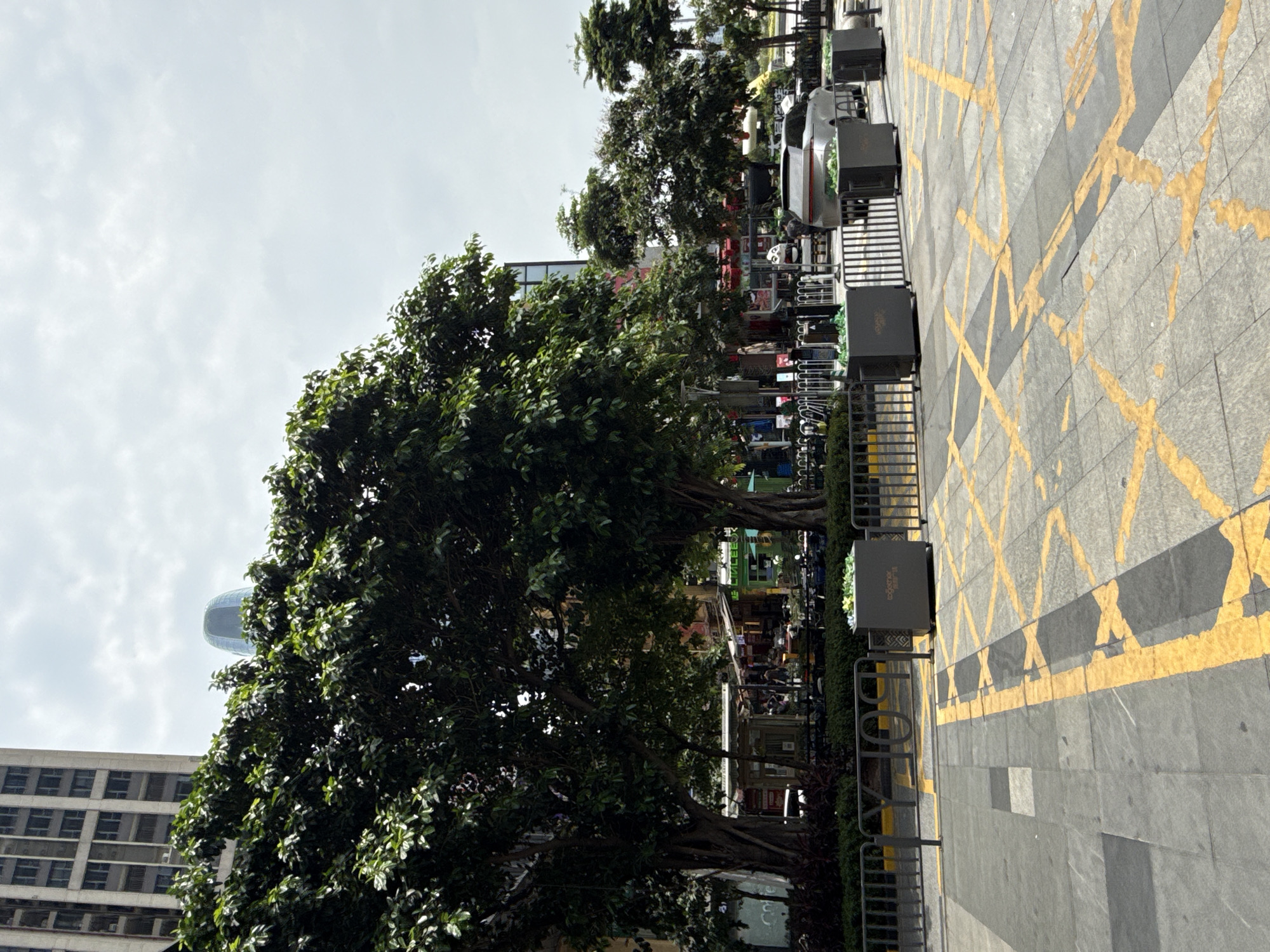 This media file captures an urban street scene during the daytime, under an overcast sky. The image, originally rotated 90 degrees clockwise, shows a pedestrian area or street running from the foreground to the background.
In the foreground, on the right side of the correctly oriented image, is grey paved ground covered with prominent yellow crosshatch markings, likely indicating a no-stopping or restricted area. Metal fences and dark grey rectangular planters line the edge of this paved area. One planter clearly shows the text "topcomer" and some smaller, less discernible Chinese characters below it, possibly "拓美".
The midground is dominated by several large, mature trees with dense green foliage, obscuring parts of the view. Behind these trees, and closer to the center and left of the frame, glimpses of a bustling urban environment are visible. This includes a silver car, and what appears to be an outdoor commercial area with numerous stalls or small shops. Several blurry figures of people can be seen amongst these market-like structures, suggesting commercial activity or general pedestrian traffic.
In the background, on the left side, are tall buildings. One is a more traditional-looking multi-story building with numerous windows, while another features a distinctive modern design with a rounded, possibly glass, dome or top, peaking above the trees and against the cloudy sky. The sky itself is a uniform light grey, indicating an overcast day. The overall impression is that of a lively urban environment, characteristic of a city in Haizhu District, China.