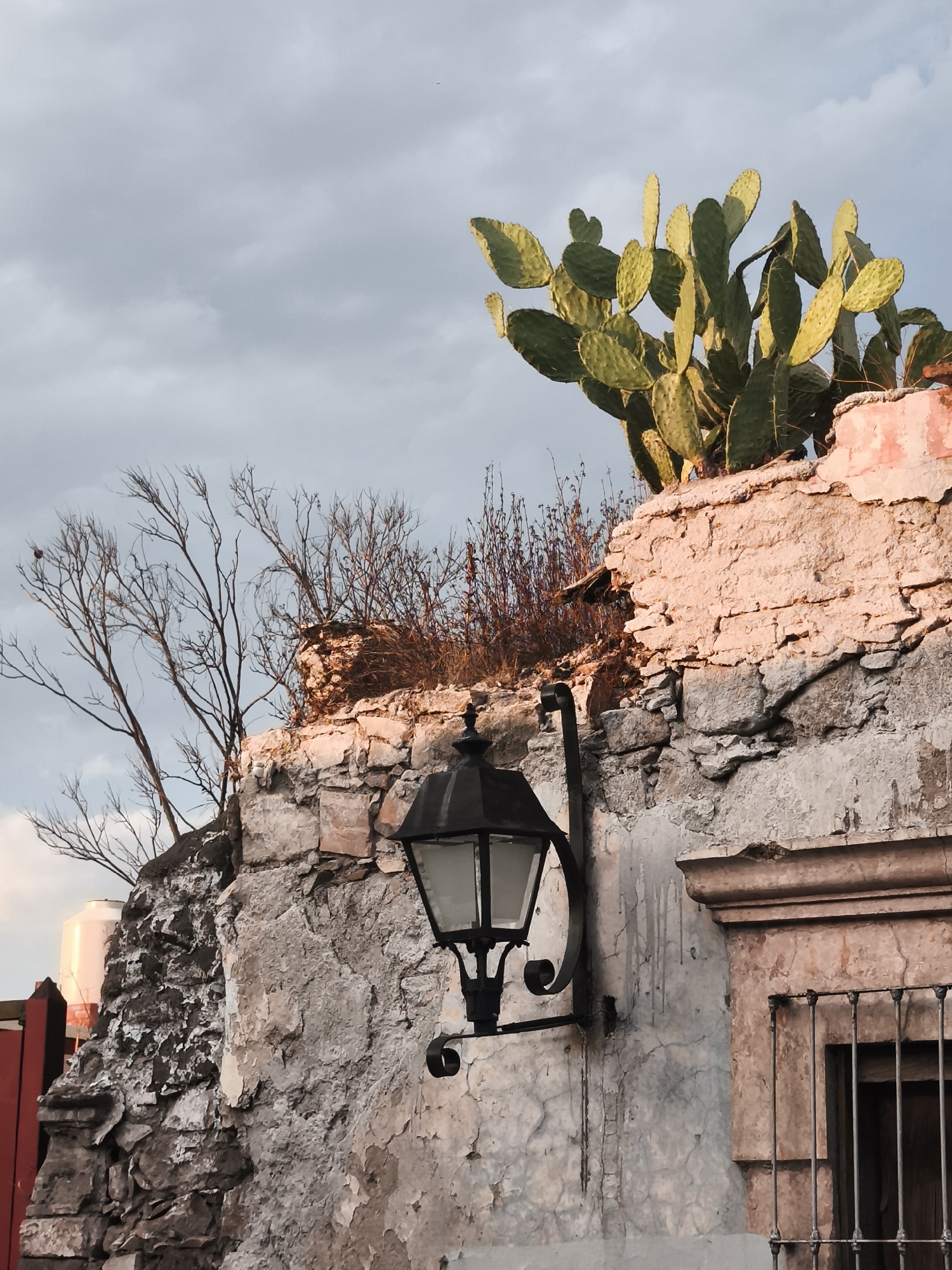 A close-up shot displays an old, cracked stone wall, possibly part of a building, with a black, wrought-iron lantern affixed to it. Adjacent to the wall, a window with a barred gate is visible. On top of the wall, a prickly pear cactus thrives alongside dry, thin tree branches. The sky is overcast, casting a soft, diffused light on the scene. It is possible the image was taken in the city of Querétaro, Mexico.