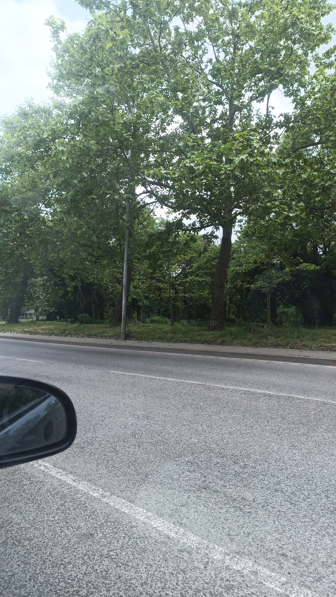 The image shows a view from a vehicle traveling along a road. On the left side of the road, there is a row of mature trees with dense green foliage. A sidewalk runs along the edge of the road, separating the asphalt from the trees. A utility pole is visible among the trees. Part of a car's side mirror is visible in the lower left corner of the image. The road itself is gray and features a white line dividing traffic lanes. It's daytime, and the sky is visible through the tree canopy. The location is potentially Burgas, Bulgaria, based on visual characteristics of trees and infrastructure, but without further information, the exact location within the city cannot be determined. No people are visible in the image.