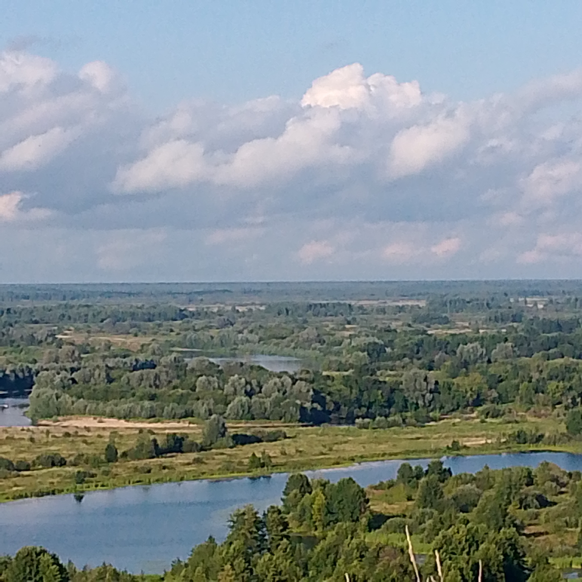 A wide shot captures a sprawling landscape near Vyazniki, Russia, dominated by a tranquil river meandering through dense greenery under a partly cloudy sky. The scene unfolds from an elevated viewpoint, showcasing a vast expanse of trees and vegetation that stretches to the horizon. The river, a prominent feature, reflects the sky and is flanked by lush, wooded banks. In the foreground, a section of the river is visible, with its blue surface contrasting with the surrounding foliage. The mid-ground reveals a rich tapestry of diverse trees and shrubs, creating a textured green carpet that extends across the terrain. Further in the distance, the landscape continues with more trees and hints of open, possibly agricultural, fields, all leading to a hazy horizon where the sky meets the land. The sky itself is a soft blue, punctuated by voluminous white and grey clouds that cast subtle shadows on the landscape below. No people or man-made structures are readily apparent, emphasizing the natural beauty of the area.