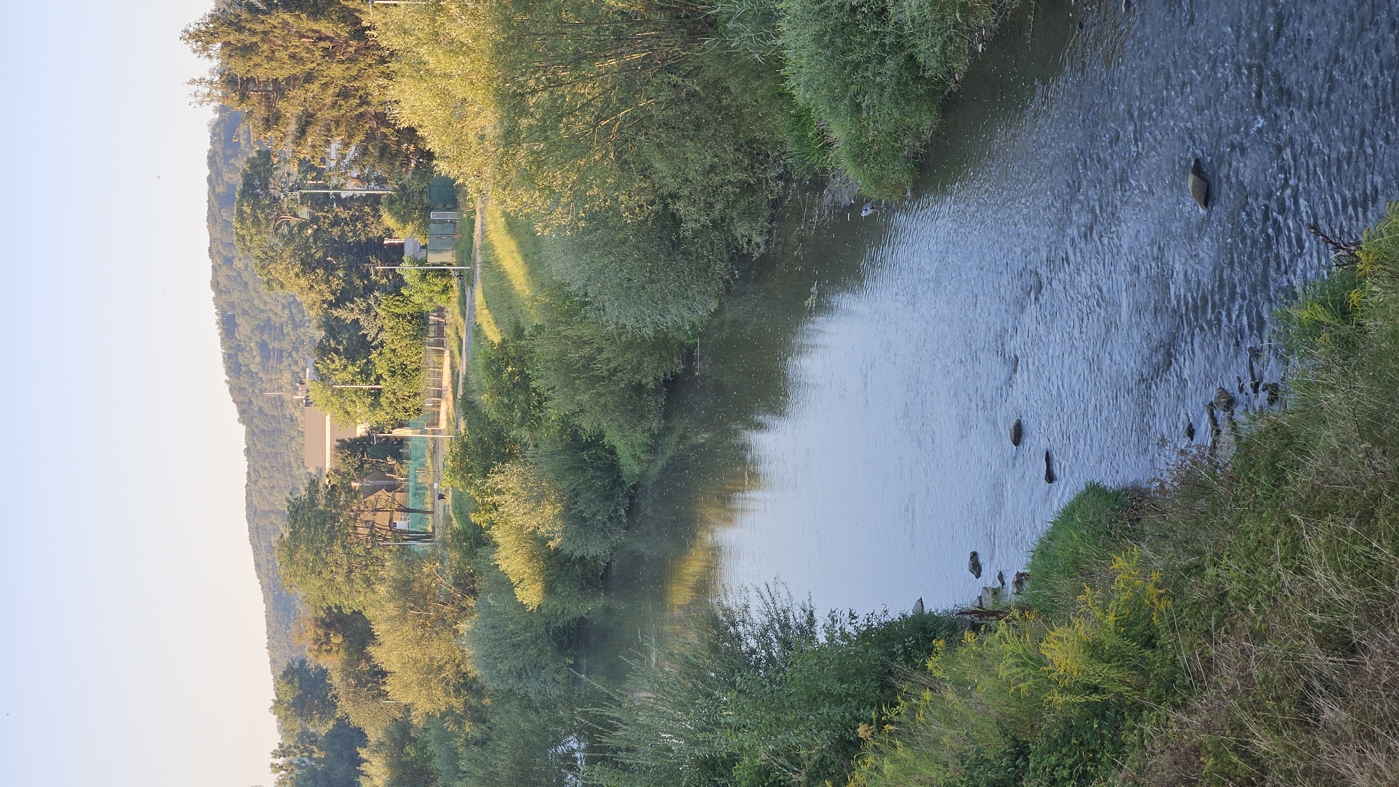 The image depicts a serene river flowing through a green landscape, likely in or near Prešov, Slovakia. The water is calm, reflecting the clear blue sky and the lush vegetation lining its banks. The riverbanks are densely populated with a variety of trees and shrubs, with some areas featuring tall grasses and wildflowers. In the background, a gentle, tree-covered hill rises, with a few buildings and structures visible on its slopes, suggesting the proximity of a populated area. The scene is bathed in the soft light of either early morning or late afternoon, casting long shadows and highlighting the natural beauty of the environment. There are no people visible in the immediate vicinity of the river, though distant figures are faintly visible on a path in the background. A lone gray heron stands at the water's edge on the right bank, its reflection shimmering in the water. Scattered rocks are visible both in the river and along the banks. The overall impression is one of tranquility and natural abundance.