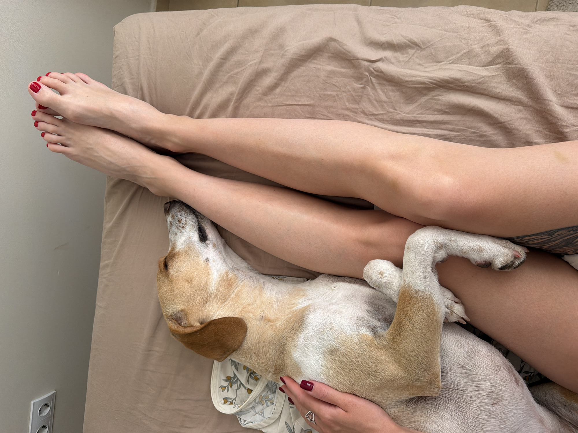 A top-down shot depicts a light-skinned person reclining on a tan-colored bed, their legs and feet extended to the left of the frame. The person's toenails are painted a bright red. A dog, primarily light tan with white markings, rests partially on the person's legs. The dog's face is tilted upward. A hand, also with red nail polish, is visible near the bottom of the frame, holding onto the dog. In the lower left corner of the frame, a wall and an electrical outlet are visible. The location or connection to Budva, Montenegro, is not discernible from the image.