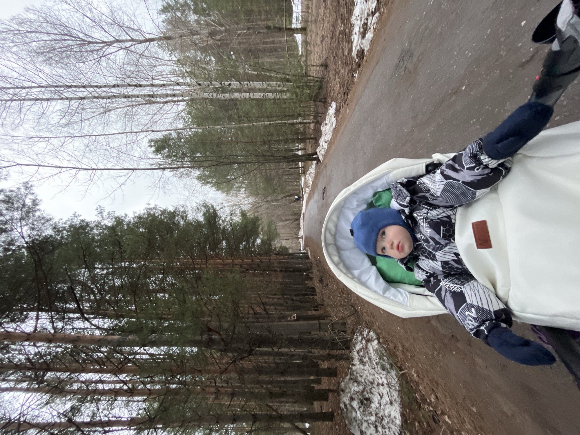 The image shows a child in a stroller on a path. The child is wearing a blue hat and a patterned snowsuit. The path is surrounded by trees, some bare and some with green foliage. There is some snow on the side of the path. The image was taken in Chaikovsky, Russia.