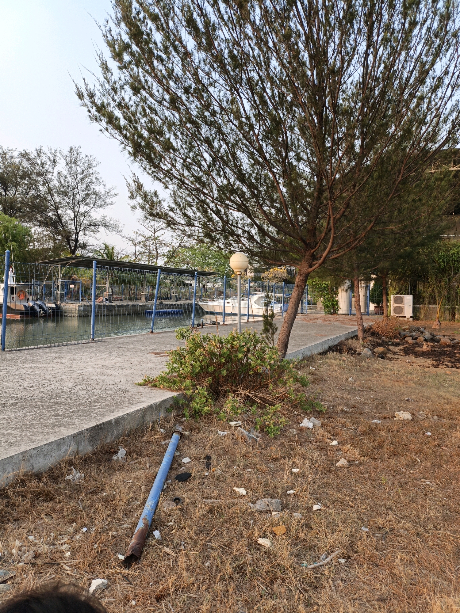 The image depicts an outdoor scene near a body of water, likely a marina or dock. In the foreground, dry, brown grass is scattered with debris including plastic wrappers and rocks. A rusted, blue metal pipe lies horizontally on the ground, partially buried in the grass.
A paved walkway runs along the edge of the water, separated by a blue metal fence. Several boats are docked in the water beyond the fence. Trees with thin, needle-like leaves line the walkway and the area behind it.
In the background, there are structures with metal roofs, some trees, and what appears to be an air conditioning unit mounted on a wall. A round, white outdoor lamp is visible on a post. The sky is clear and light blue. The overall impression is a slightly unkempt area near a waterfront, potentially in a tropical or subtropical location. The description of Cikal, Indonesia, suggests a location with a tropical climate and proximity to the sea.
