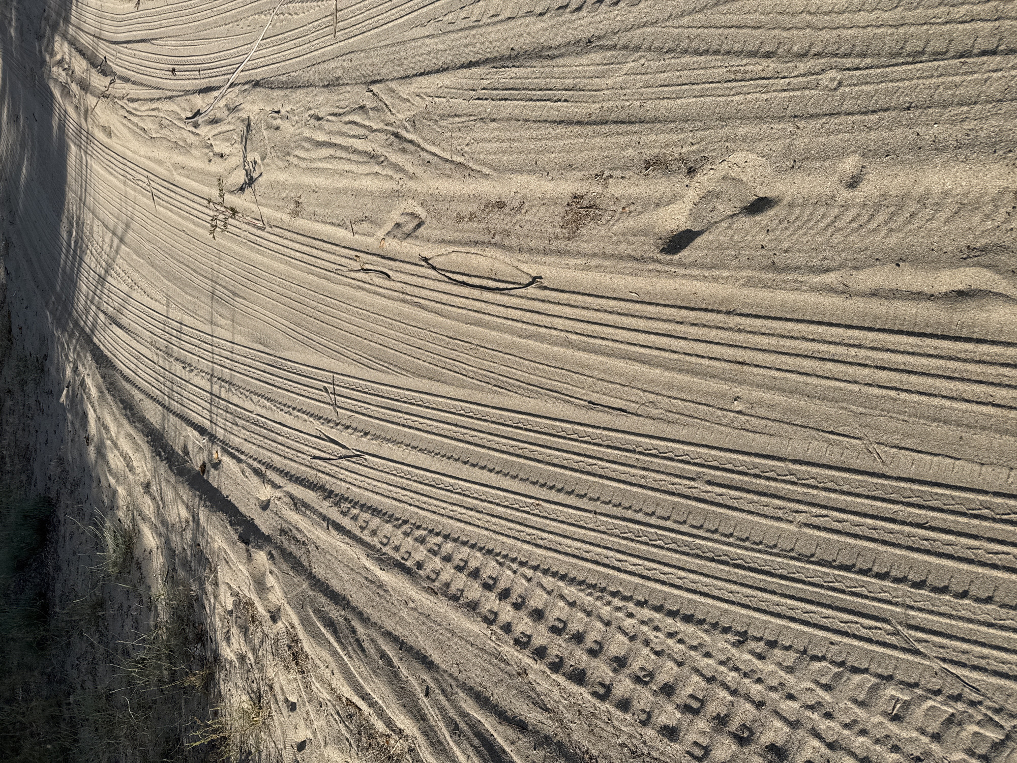 The image shows a sandy dirt road with tire tracks and some vegetation on the left side. The road appears to be in a rural area. The lighting suggests it is either early morning or late afternoon. There are no people or any specific objects that indicate a particular location within the city of Basbeshik, Kyrgyzstan. The scene is a natural outdoor environment with a path created by vehicle use.