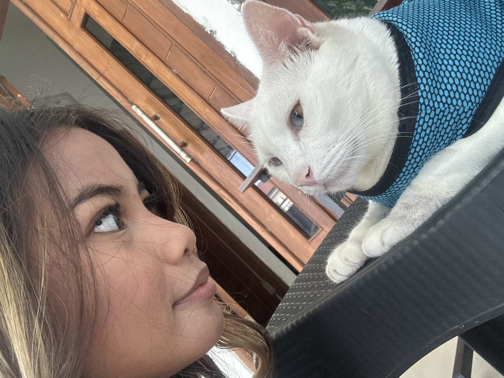 In Sukawati, Indonesia, a young woman with long brown hair leans in to photograph herself with a white cat. The cat, wearing a blue mesh vest, is perched on a black textured surface, possibly a chair. The woman's gaze is directed at the cat, and her lips are slightly parted in a smile. Behind them, a wooden door with glass panes suggests an indoor or semi-outdoor setting. The overall lighting is bright, highlighting the subjects.