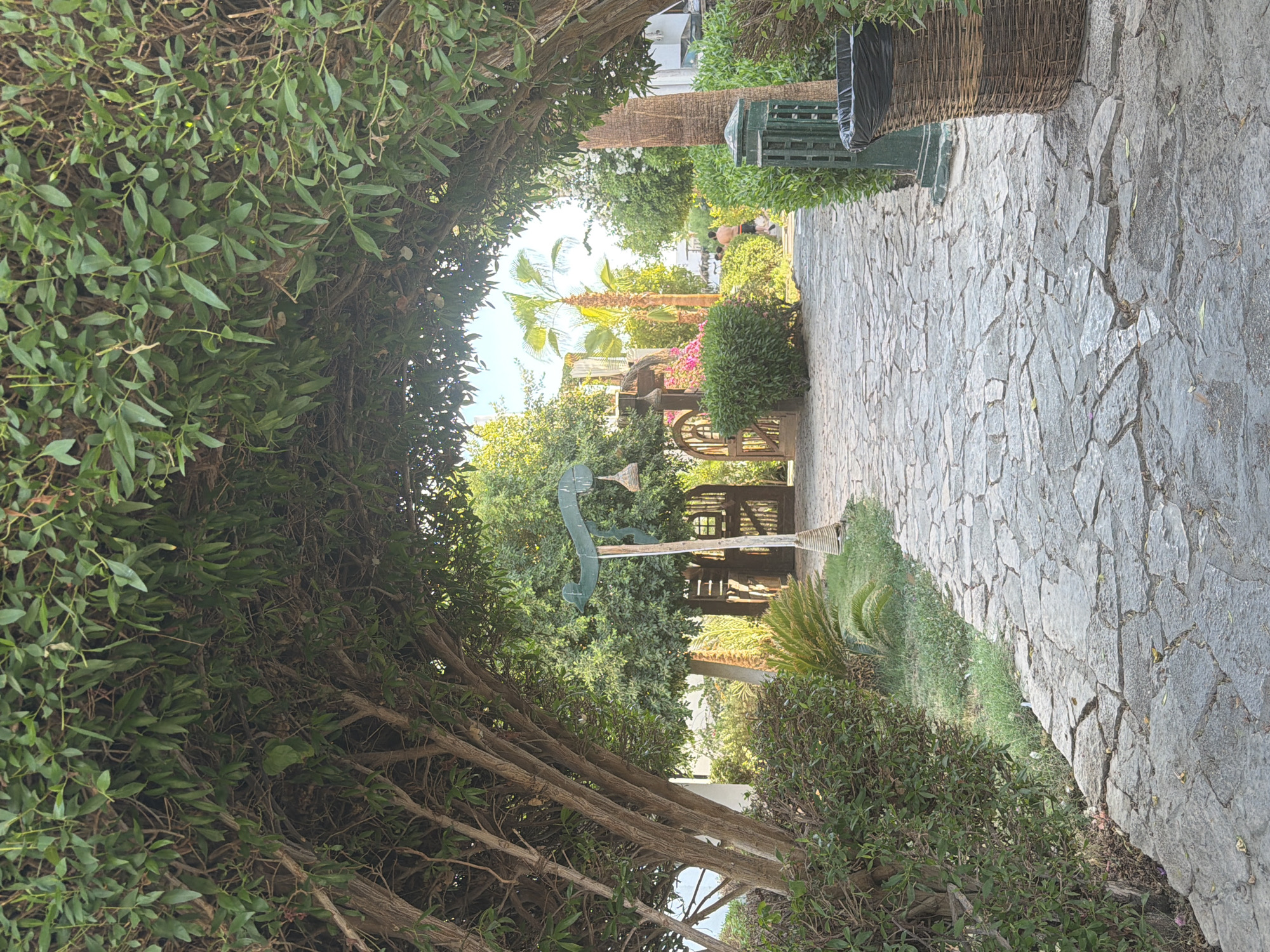 A stone pathway leads through a garden archway formed by trimmed trees. On the left, the archway is dense with foliage and branches. On the right, the archway opens to reveal a sunlit garden with palm trees, a wooden gate, and lush green bushes. A decorative wooden lamp post with hanging baskets stands near the pathway. Further in the distance, a person wearing black shorts and red accents walks away from the camera. A woven trash can with a black liner is positioned next to a green metal post on the right side of the path. The scene appears to be a resort area in Sharm El Sheikh, Egypt, given the characteristic vegetation and architecture often found in such locations.