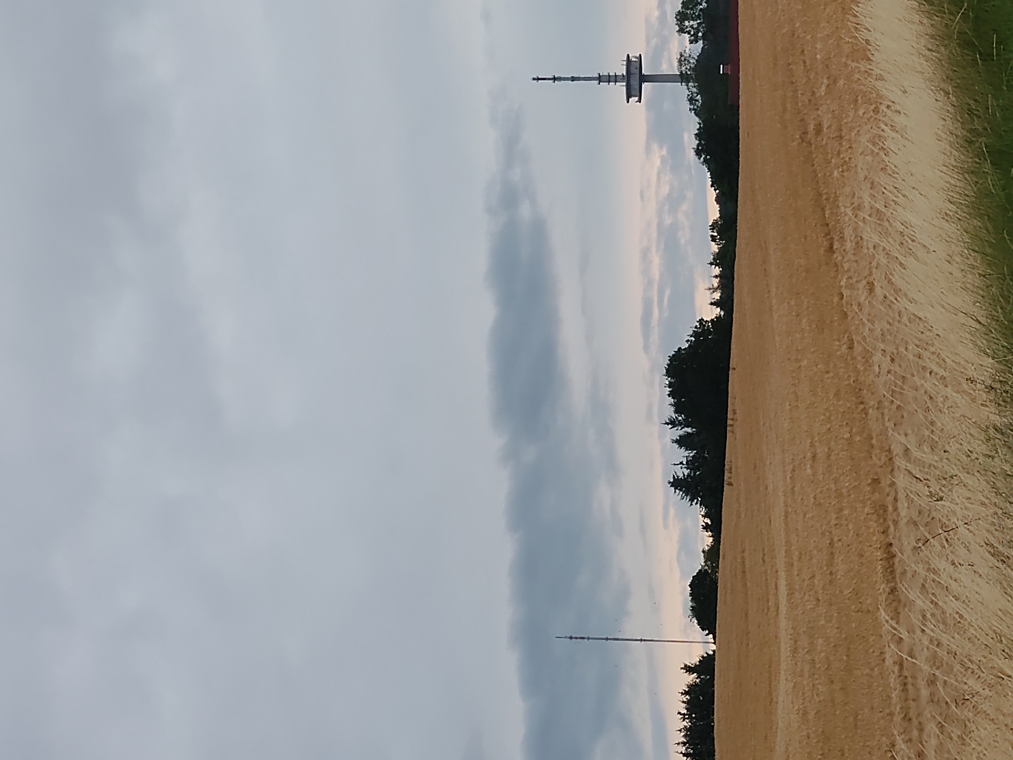 The image depicts a rural landscape under a cloudy sky, possibly during twilight, in Kasseedorf, Germany. In the foreground, a field of golden wheat stretches towards the horizon, with tall, dry grasses at the very bottom right corner. In the middle ground, a line of dark green trees forms a backdrop to the wheat field. Two communication towers are visible in the distance. The tower on the left is tall and slender, while the tower on the right is shorter, wider, and features a platform near its top. The sky is overcast with shades of gray and pale blue, suggesting an approaching or receding storm. No people or animals are present in the image.
