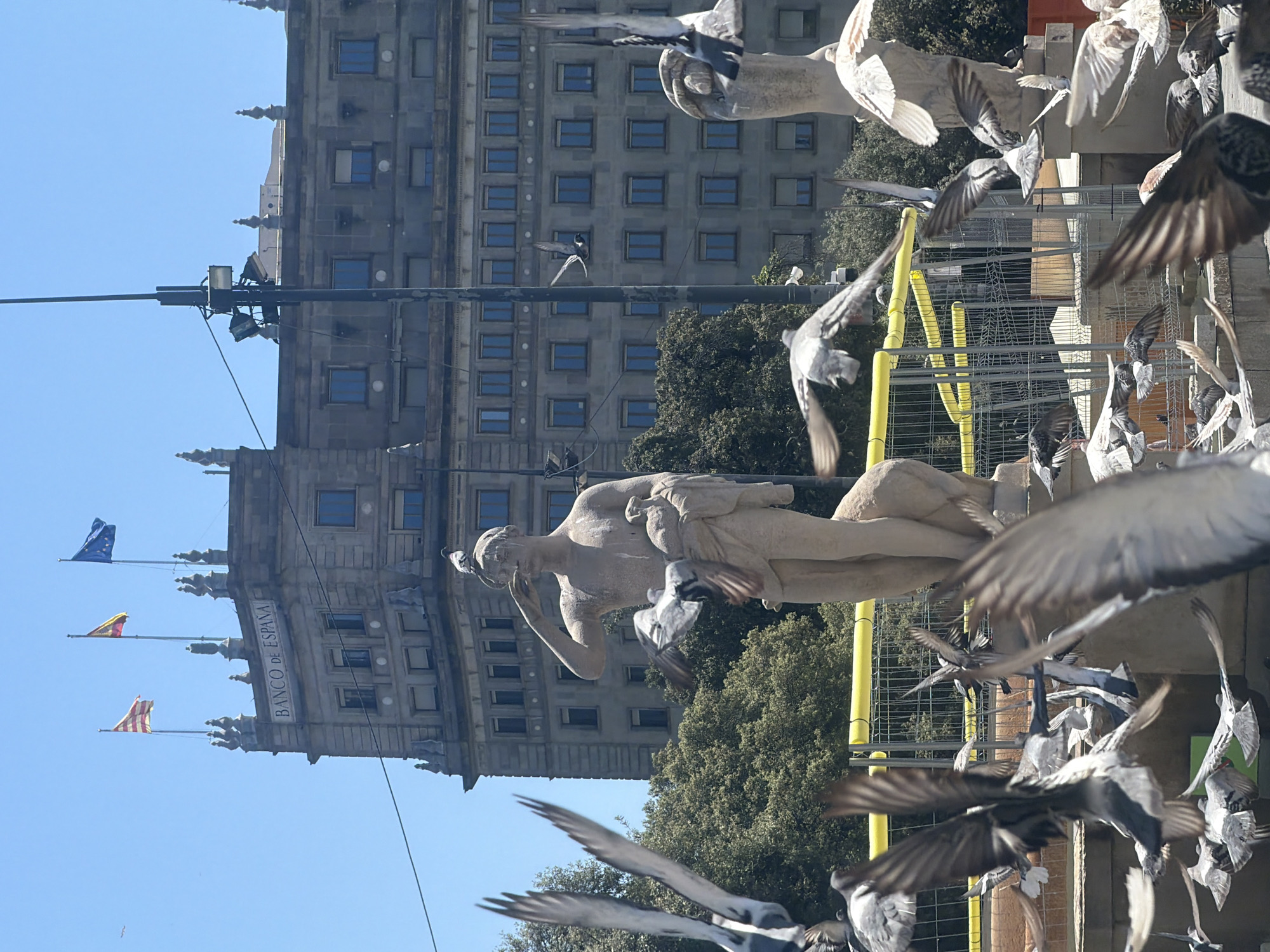 The image shows a section of Barcelona, Spain, likely the plaza de Catalunya. The Banco de Espana building is visible on the left, with flags waving atop. In the foreground, a stone statue stands amidst a flock of pigeons, many in flight. Yellow posts and a metal barrier are also visible. The environment is outdoors, with trees in the background. The image is taken during the daytime, with a clear, blue sky.