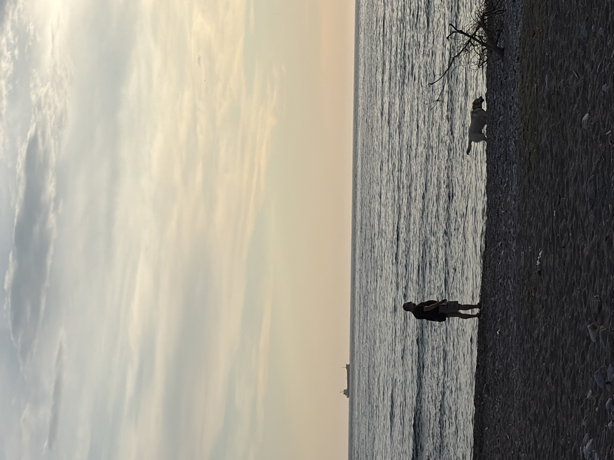 A vertical shot captures a beach scene in Bar, Montenegro. The right side of the image shows a beach with visible pebbles and sand. A man stands at the water's edge, while a dog is positioned near a tree branch on the beach. The sea occupies the middle section of the image, and a ship is visible in the distance. The sky, which is on the left side of the image, is filled with clouds, indicating either sunrise or sunset.