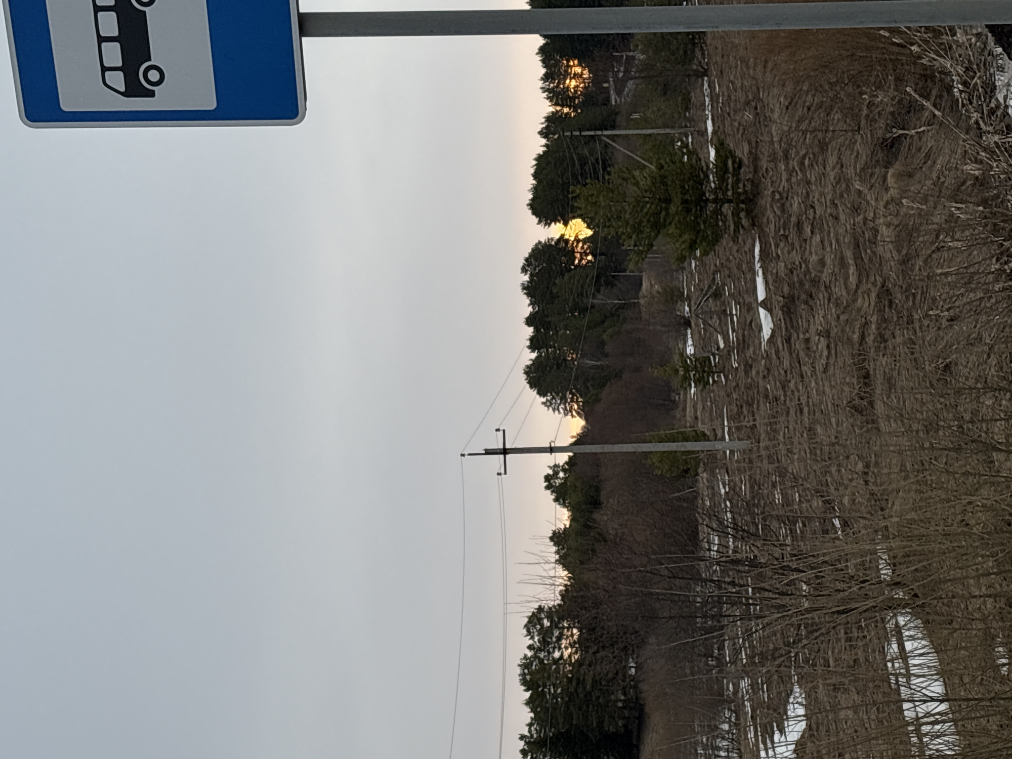 The image shows a bus stop sign in what is likely Rusalevka, Russia given the query context. Behind the bus stop are trees and power lines. There is dead grass and some melting snow on the ground. The sky is overcast.