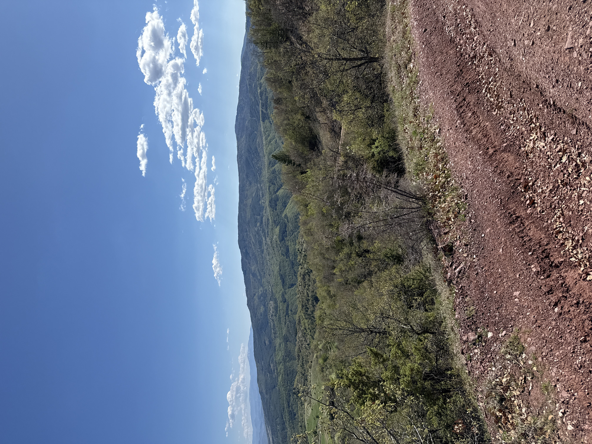 The image depicts a mountainous landscape under a bright blue sky with scattered white cumulus clouds. A dirt road, characterized by red soil and loose rocks, occupies the foreground, transitioning into a forested area. The trees are predominantly green, indicating a lush environment. In the background, a mountain range stretches across the horizon. The image is shot from a high vantage point, providing a panoramic view of the landscape. Based on the prompt, the location is Tsarvishte, Bulgaria.