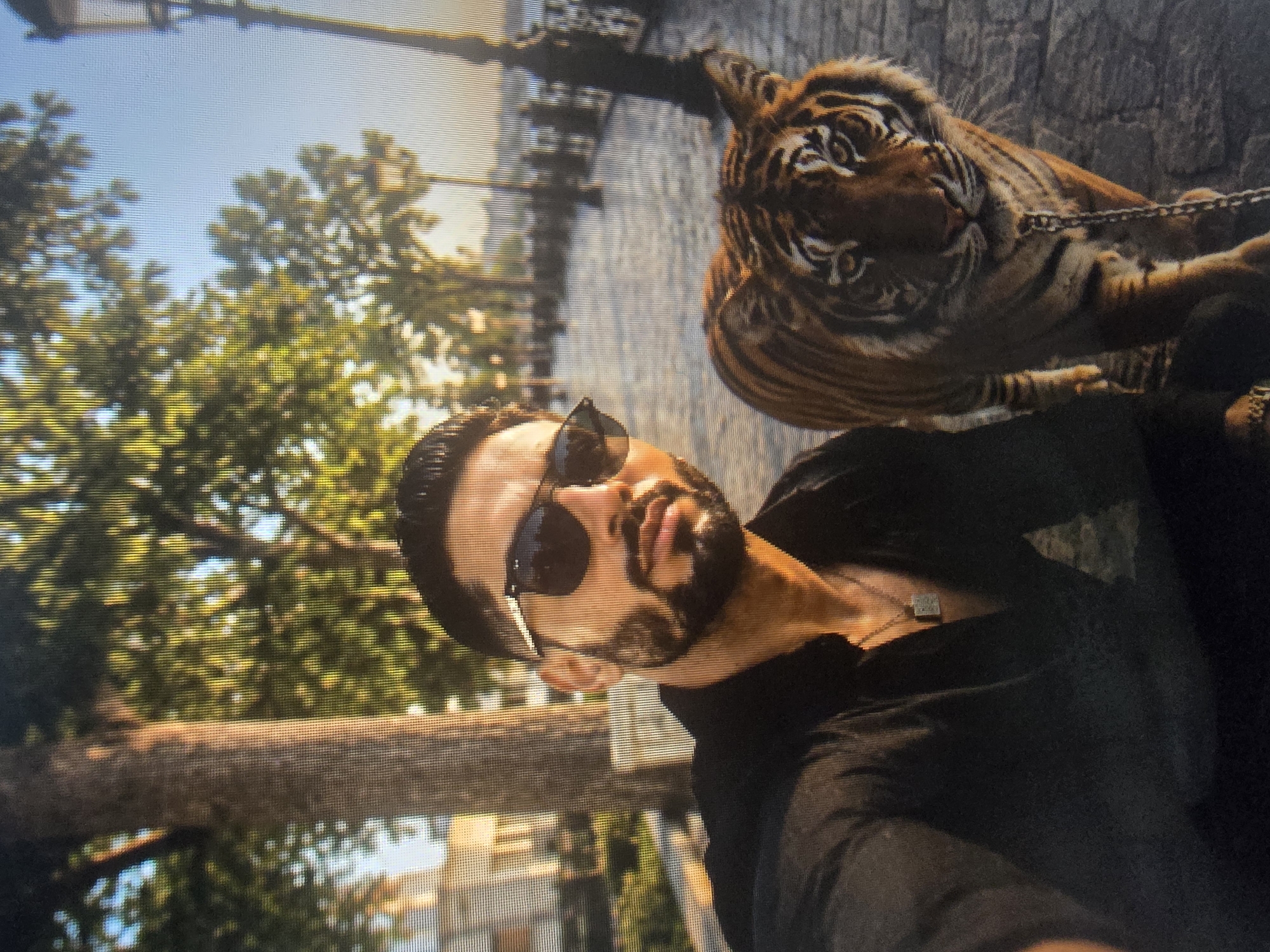 The image is a close-up, low-angle, slightly tilted shot of a man and a tiger, possibly a selfie. The man is in the foreground, wearing sunglasses and a black shirt. He has dark hair and a beard. A thin chain with a rectangular pendant is visible around his neck. Behind him and to his right is a tiger, also on a leash or chain that is visible. The tiger is lying down, facing away from the camera but its head is turned towards it. The background consists of trees, foliage, and a light-colored paved surface, possibly a walkway or street. There are hints of buildings in the distance, suggesting an urban or semi-urban setting. The lighting suggests it is daytime, with bright sunlight filtering through the trees. The overall mood is unusual, given the presence of a tiger in proximity to a person.