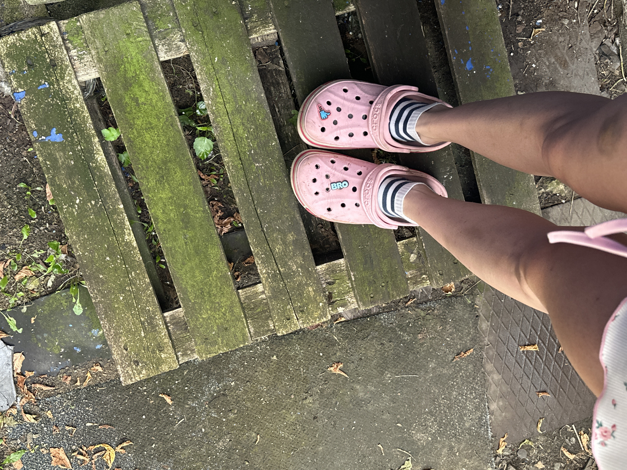 The image depicts a close-up, overhead view of a person's legs from the knees down, wearing pink Crocs with striped socks. The Crocs have decorative charms; one appears to be a "BRO" charm and the other is a blue cartoon hand. The person is standing on a weathered, moss-covered wooden pallet, which is situated on a dark, textured surface, possibly concrete or asphalt, littered with fallen leaves and small debris. The environment suggests an outdoor urban setting, potentially a yard or alleyway in Magnitogorsk, Russia, characterized by the utilitarian nature of the pallet and the weathered ground. The lighting is overcast, casting a diffused light on the scene.