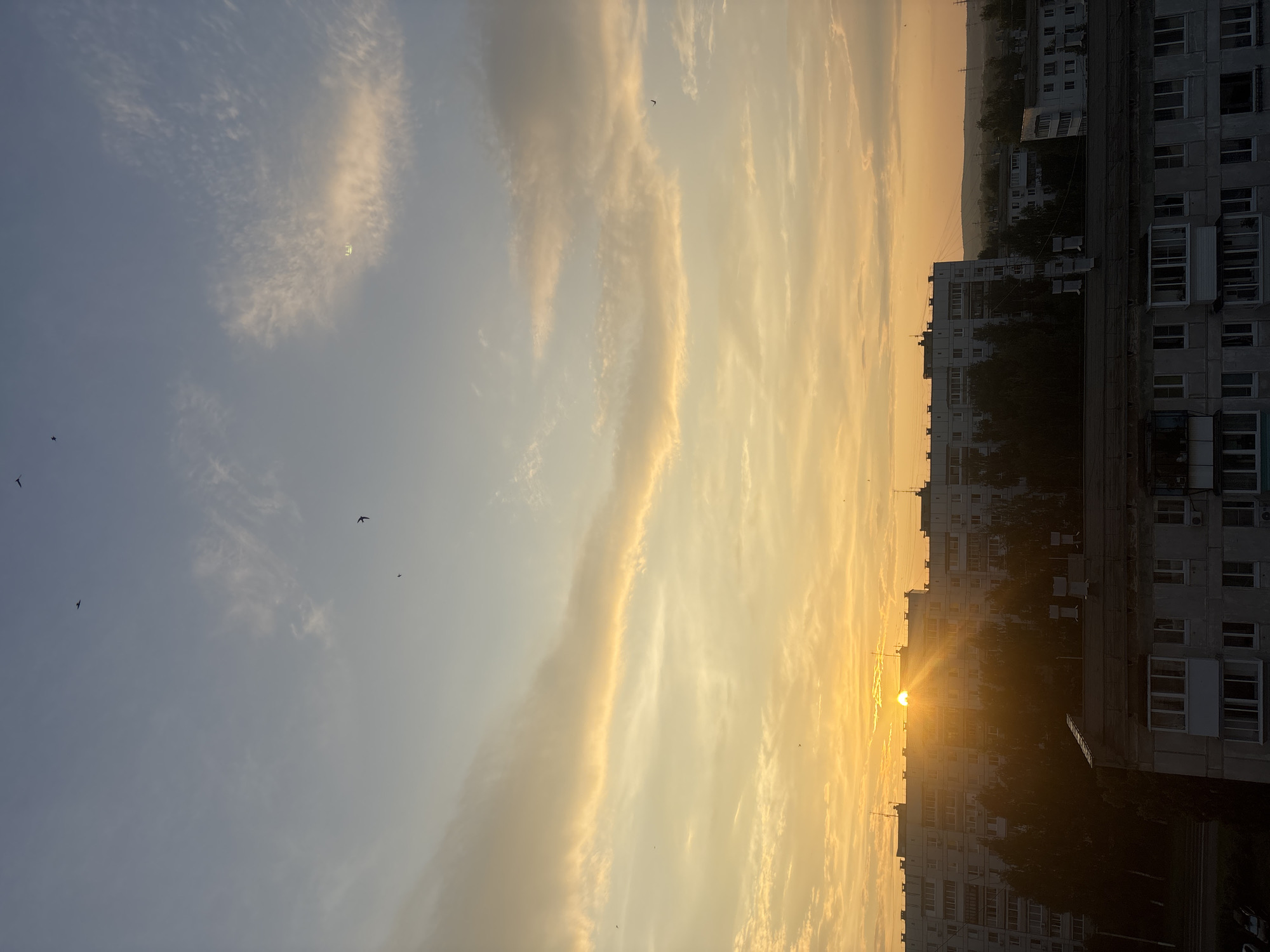 This is a vertical, high-angle, medium shot photograph of an urban landscape at sunrise. The sun, a brilliant orb, is partially obscured by the rooftops of multiple apartment buildings and appears to be just cresting the horizon. The sky transitions from a light blue at the top to a warm, golden yellow near the sun, with scattered clouds that are tinged with orange and pink hues. Several small, dark birds are visible in flight against the sky. The buildings are multi-story apartment blocks, appearing to be of Soviet-era architecture, with numerous windows and balconies. There are trees silhouetted against the buildings and the sky, particularly in the middle ground. The foreground features the rooftops of more buildings, with some visible aerials and ventilation systems. The overall impression is a city awakening at dawn, with a serene and colorful sky.