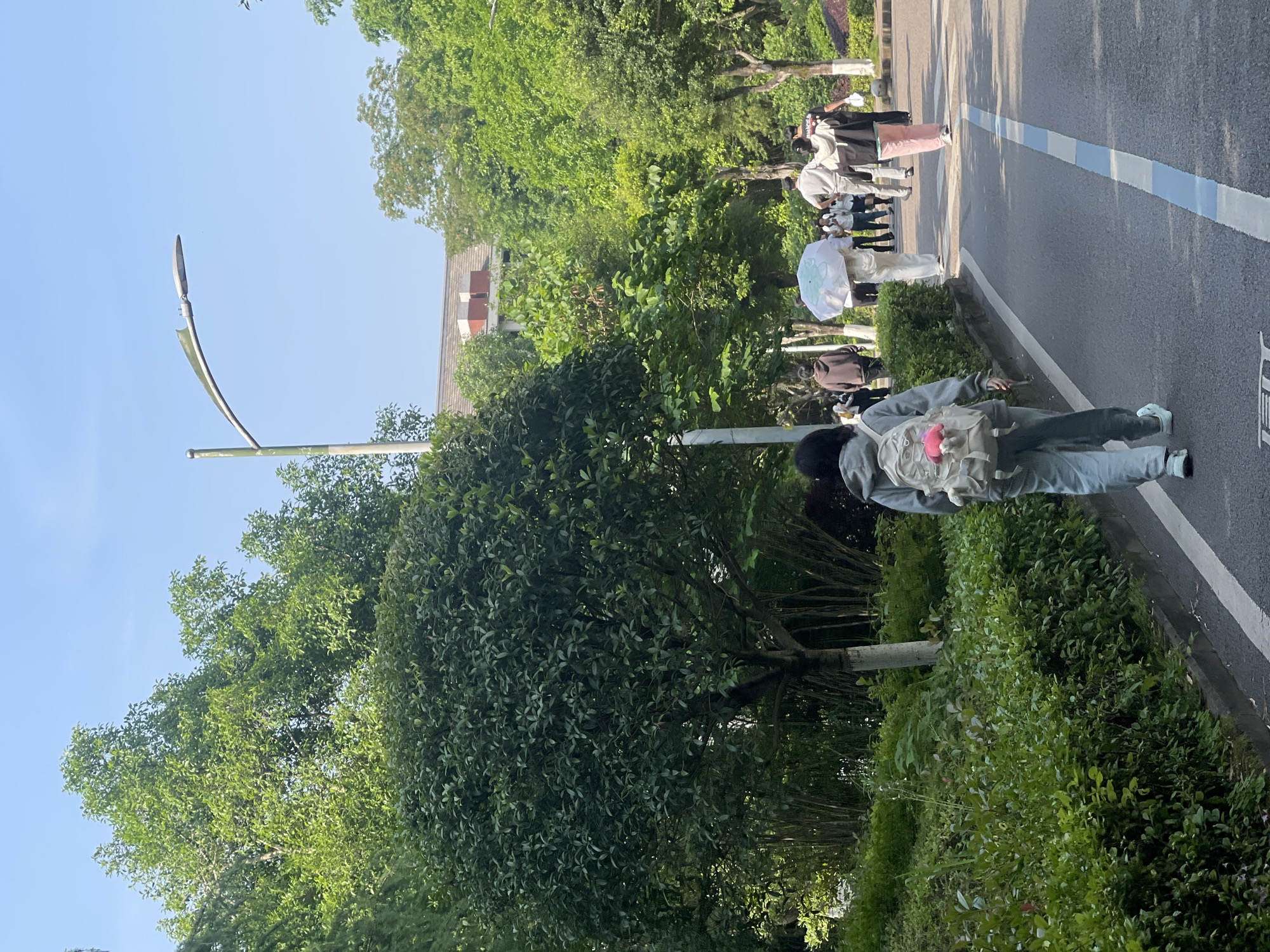 A street scene in Chongqing High-tech Zone, China. A line of people walks along the edge of a roadway with blue and white markings. A young woman with a backpack walks towards the camera. Lush greenery including bushes and trees border the roadway. A modern street lamp stands in the background. The sky is clear and blue.