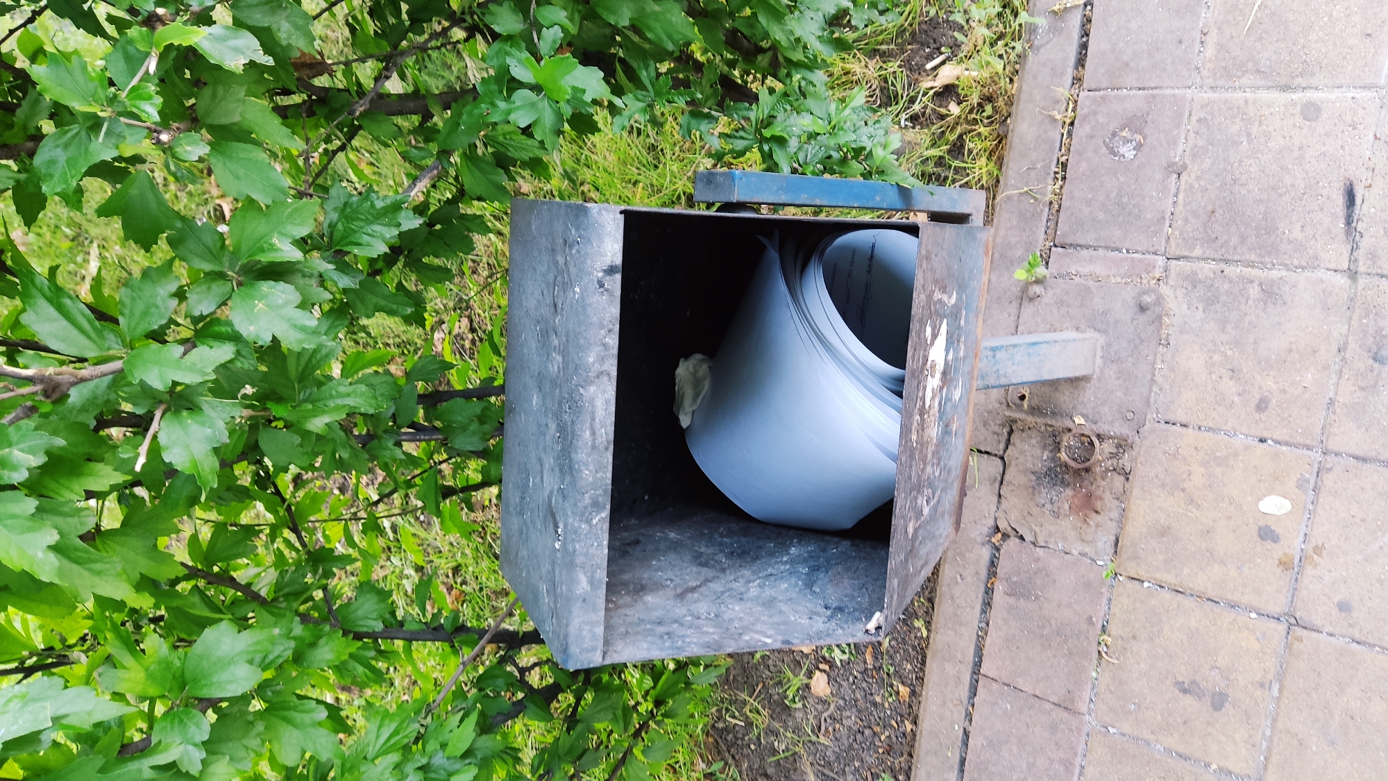 A metal trash receptacle, showing signs of wear and tear, is positioned outdoors adjacent to a paved walkway. The receptacle contains a large quantity of rolled-up paper. Behind the receptacle, a lush green bush provides a backdrop, its leaves dense and vibrant. The ground surrounding the receptacle is a mixture of dirt and grass, with the paved walkway to the foreground composed of square concrete tiles. The overall scene suggests an urban outdoor setting, possibly a park or public area within Krasnodar, Russia, given the context of the surrounding foliage and the utilitarian nature of the trash bin.