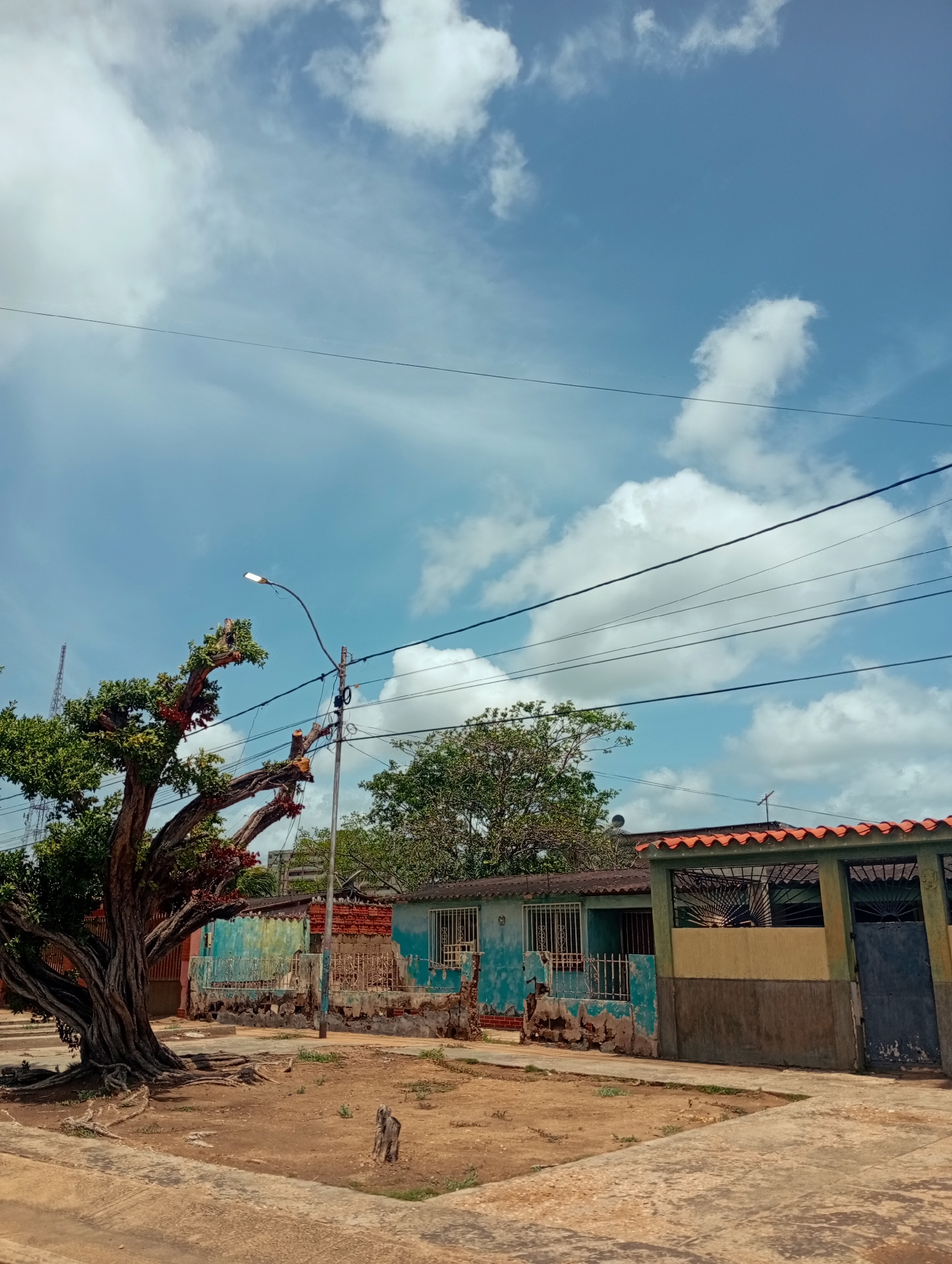 The image captures a street scene in Juan Griego, Venezuela, under a bright blue sky dotted with fluffy white clouds. The foreground features a paved sidewalk and a patch of dry, sandy ground with sparse vegetation. A large, gnarled tree with exposed roots is prominently positioned on the left side of the frame. Several utility poles and electrical wires crisscross the upper portion of the image.
In the midground, a row of single-story buildings lines the street. These structures appear somewhat weathered, with some exhibiting peeling paint and exposed brickwork. One building is painted a vibrant turquoise, while others have muted earth tones and reddish-brown roofs. Metal bars adorn the windows of these buildings, suggesting security measures. A street lamp extends from a pole near the tree.
The background reveals more of the urban landscape, including additional trees and glimpses of further buildings. The overall impression is one of a residential area in a warm climate, characterized by a mix of natural elements and the infrastructure of a Venezuelan town.