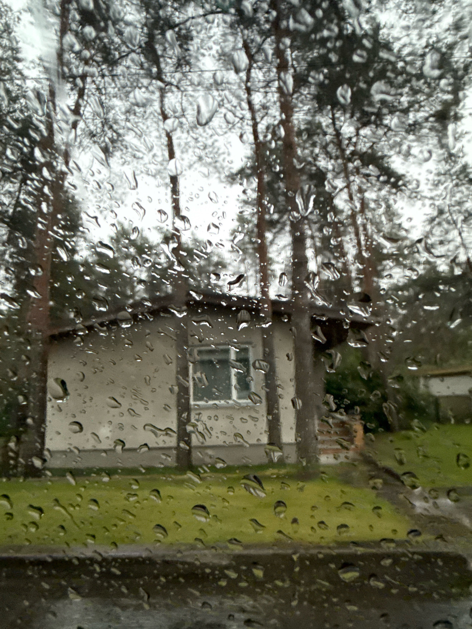 The image shows a view through a window covered in raindrops. Outside, there is a light-colored house with a dark roof and a window. The house is surrounded by tall, slender trees, likely pines, with dark bark. The ground in front of the house is covered with green grass. The sky appears overcast, suggesting a cloudy or rainy day. The overall scene depicts a residential area with natural surroundings, possibly a suburban or rural setting. The location is specified as the city of Tallinn, Estonia. There are no people visible in the image.