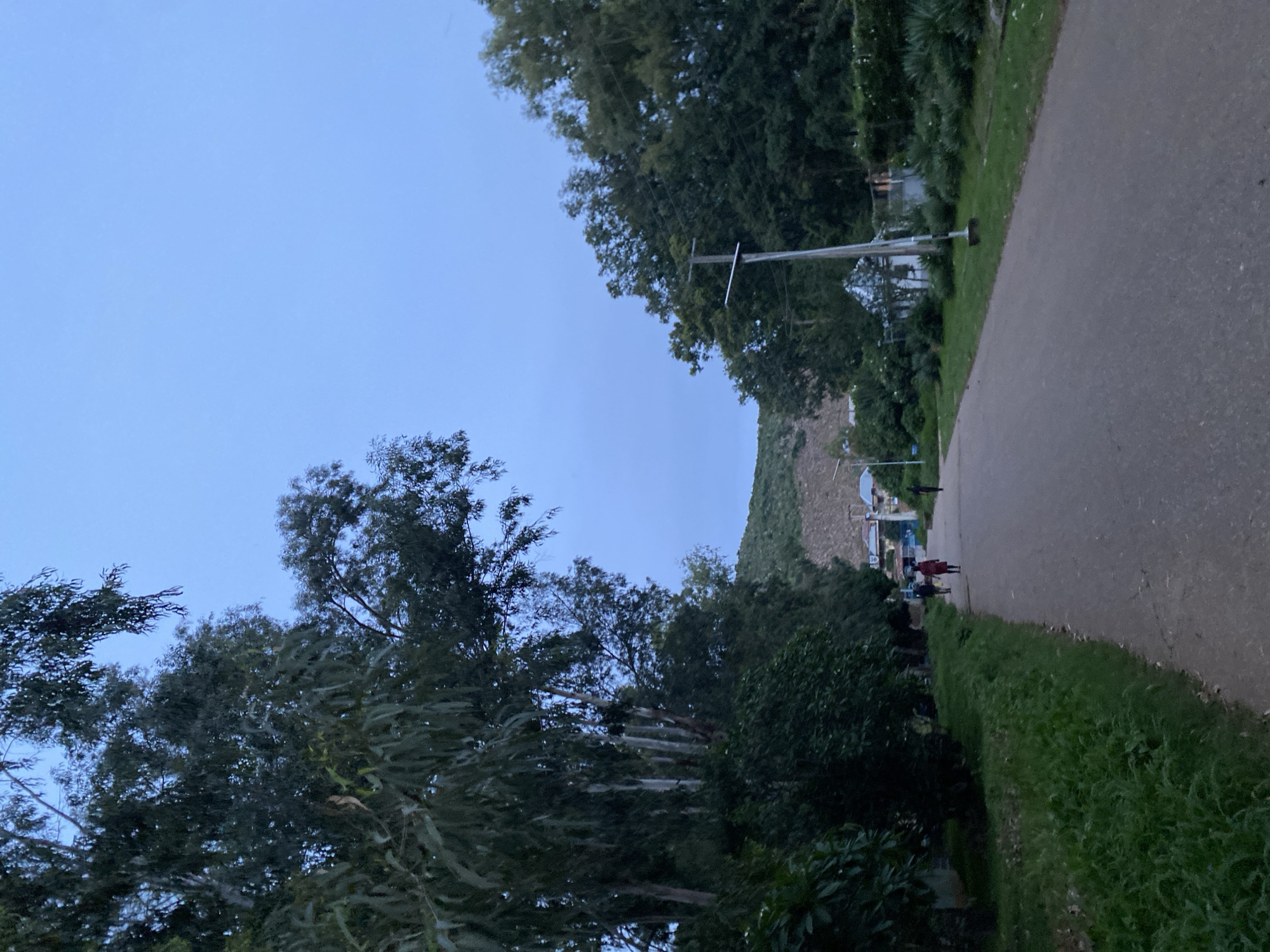The image depicts an outdoor scene on a paved road in Jos, Nigeria, likely during twilight. Tall trees with sparse foliage line the left side of the road, with a grassy verge between them and the road. On the right side of the road, there are more trees and dense vegetation, with a small, white building with a peaked roof visible in the distance. A street light stands prominently on the right side of the road. Three individuals are walking away from the camera on the road; one in a red garment, and two others in darker clothing. The sky is a pale blue, indicating either early morning or late evening. In the background, a hill rises, with some scattered buildings and structures at its base. The overall impression is a quiet, possibly residential, area on the outskirts of the city.