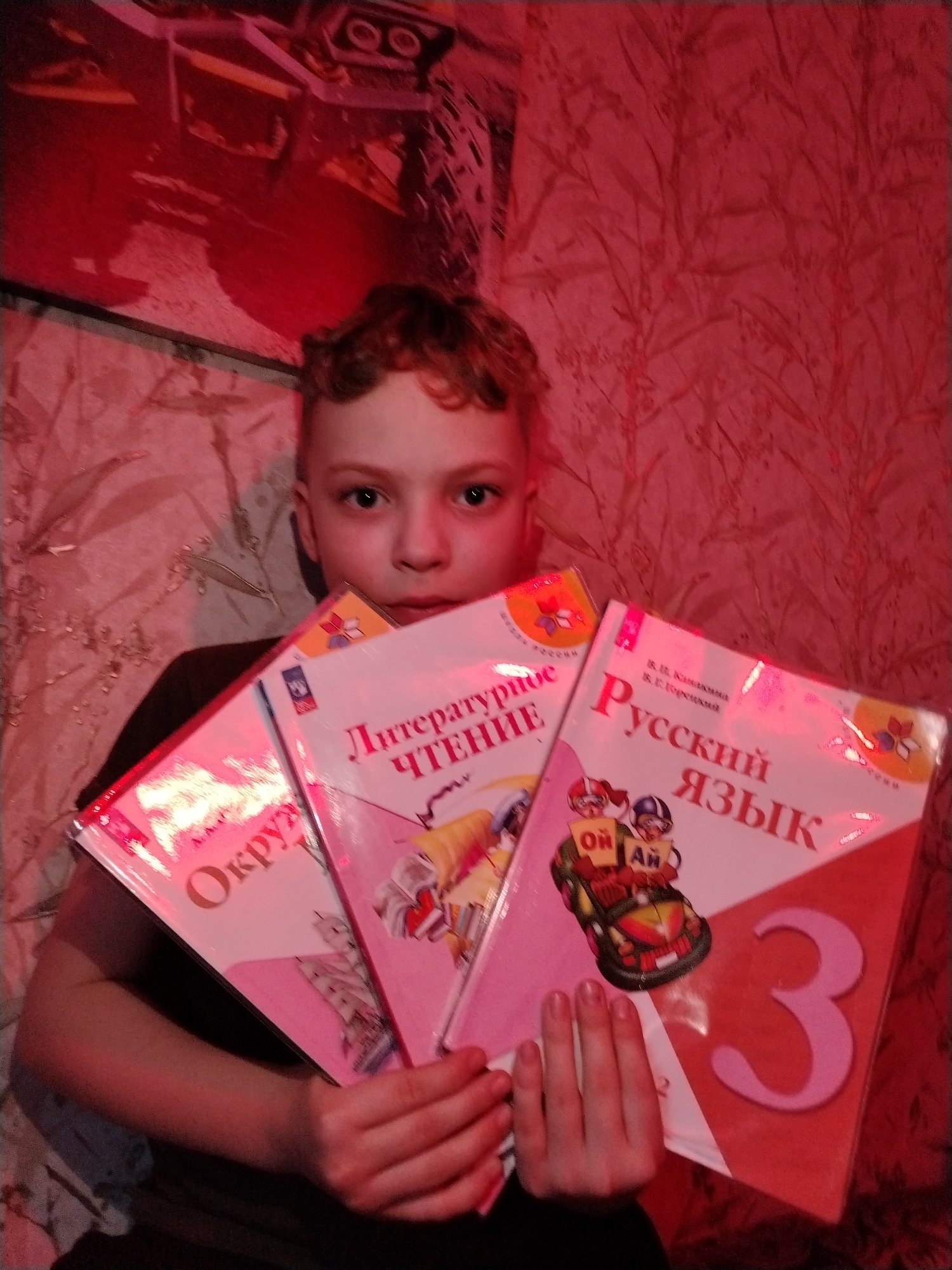 The image depicts an indoor scene, illuminated by a dominant red light, purportedly located in Nizhnyaya Gar', Russia. A young male, appearing to be a child with light skin and short, curly reddish-brown hair, is positioned centrally, gazing directly into the camera with a neutral expression. He is wearing a dark-colored upper garment. The subject is holding three textbooks with pink and white covers in his arms, partially obscuring his lower torso. The titles, in Cyrillic script, are identifiable as "Литературное чтение" (Literary Reading) on the middle book and "Русский язык" (Russian Language) on the rightmost book, which also prominently features a large pink numeral "3" and an illustration of two figures in go-karts. The leftmost book's title is partially visible, beginning with "Окруж...". The background features patterned wallpaper with a subtle floral or leaf motif, and to the upper left, a portion of a wall poster or artwork depicting mechanical elements or a vehicle frame is visible, all saturated by the red illumination.