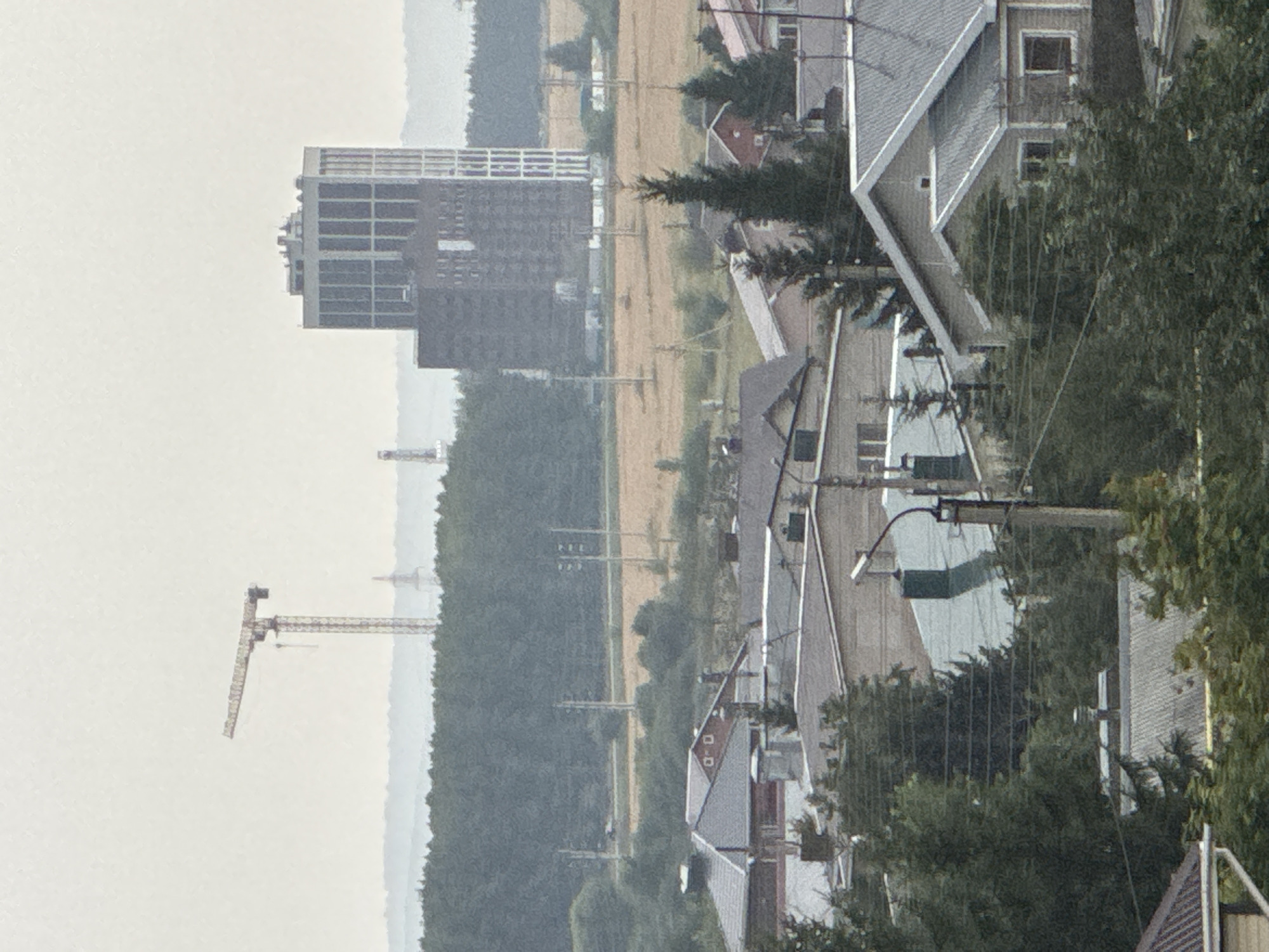 The image shows a panoramic view of a semi-urbanized area, likely on the outskirts of Almetyevsk, Russia, given the context provided. In the background, a large construction crane is prominently visible against a hazy sky. To the right of the crane, a tall, modern building with a distinctive grid-like facade stands out. Further back, a forest line can be observed, with agricultural fields in between the forest and the residential area.
The foreground and mid-ground are dominated by residential buildings, mostly single-family homes with pitched roofs. Some of these houses have visible chimneys, and power lines are strung across the scene. Trees, including coniferous and deciduous varieties, are interspersed among the houses and along the edges of the properties. The overall impression is of a developing area where construction, represented by the crane and the tall building, is occurring alongside established residential neighborhoods. The lighting suggests an overcast or hazy day. There are no people or animals visible in the image.