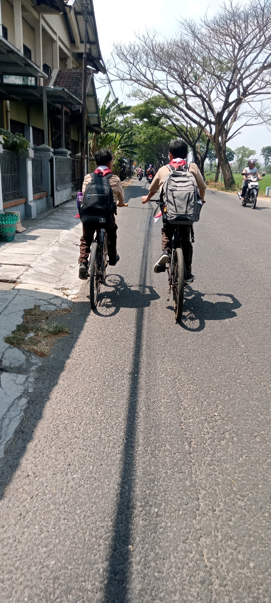 Memory
