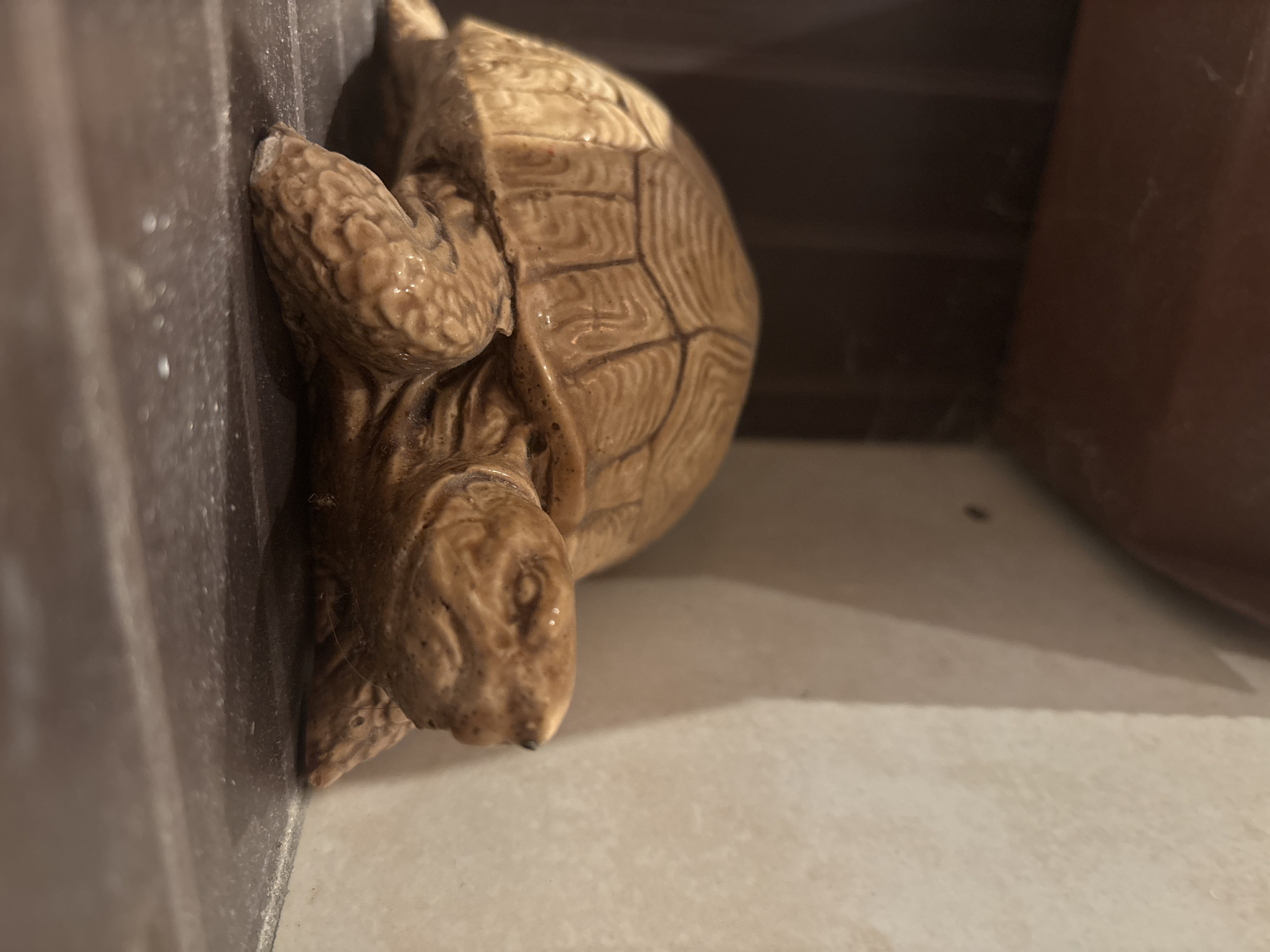 A brown ceramic turtle figurine is wedged between a dark gray container and a beige wall. The scene appears to be indoors, under artificial light. There is no evidence to suggest that this image was taken in Lom, Bulgaria.