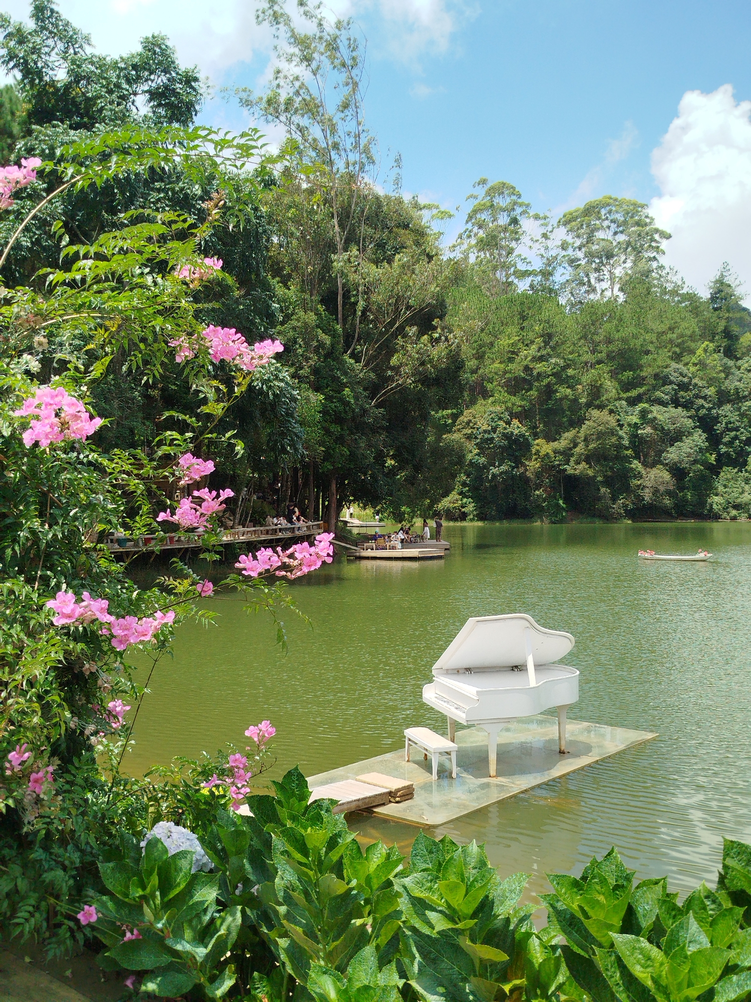 The image depicts a serene natural landscape with a focus on a white grand piano positioned on a platform floating on a lake. The piano is open, revealing its keys and interior. A small white bench is placed next to it. The lake's surface is calm and reflects the surrounding lush greenery and blue sky with scattered white clouds.
In the background, a wooden boardwalk extends along the edge of the lake, with several people visible on it, engaged in various activities. Beyond the boardwalk, dense trees and vegetation create a verdant backdrop, suggesting a natural park or forest setting. A small, white boat with decorative pink flowers is seen floating on the lake in the distance.
The foreground is filled with vibrant green foliage and pink flowers, adding a touch of color and softness to the scene. The overall atmosphere is peaceful and picturesque. This scene is likely located at Cam Ly waterfall in Da Lat, Vietnam, known for its natural beauty and tourist attractions.