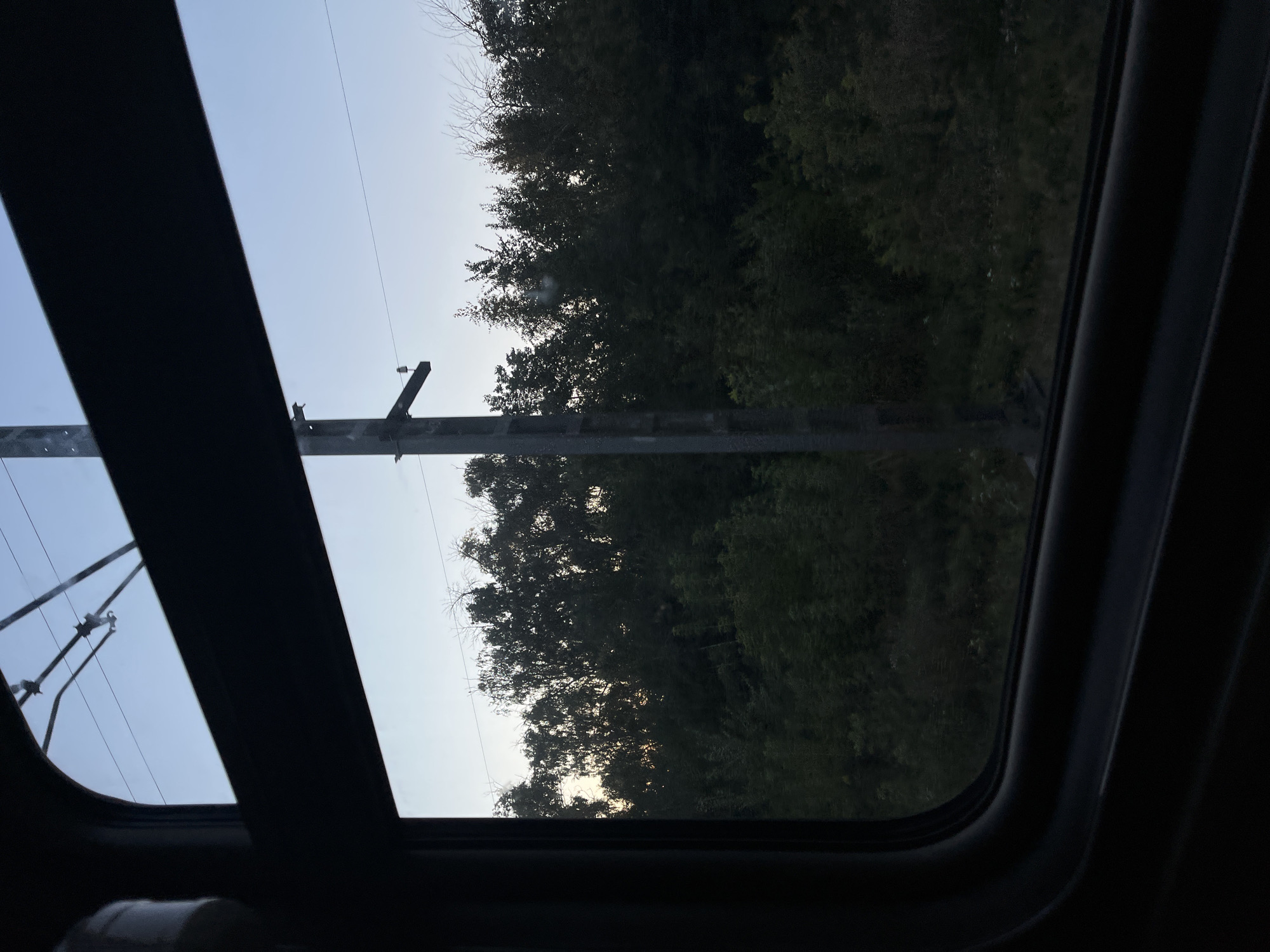 The image shows a view from a train window looking out at a landscape of trees and a utility pole against a pale sky. The scene appears to be set during either dawn or dusk, given the soft, diffused light. The train interior framing the window is dark and indistinct. Overhead, electrical wires are visible. The vegetation outside is dense, with varying shades of green and some bare branches. A tall, gray utility pole stands prominently to the right of center, with insulators and wires attached. There are no people visible in the frame. The location is not specified in the image but if assumed to be in the city of Krugloe, Russia, it would represent a common view from a train traveling through the outskirts or rural areas surrounding the city.