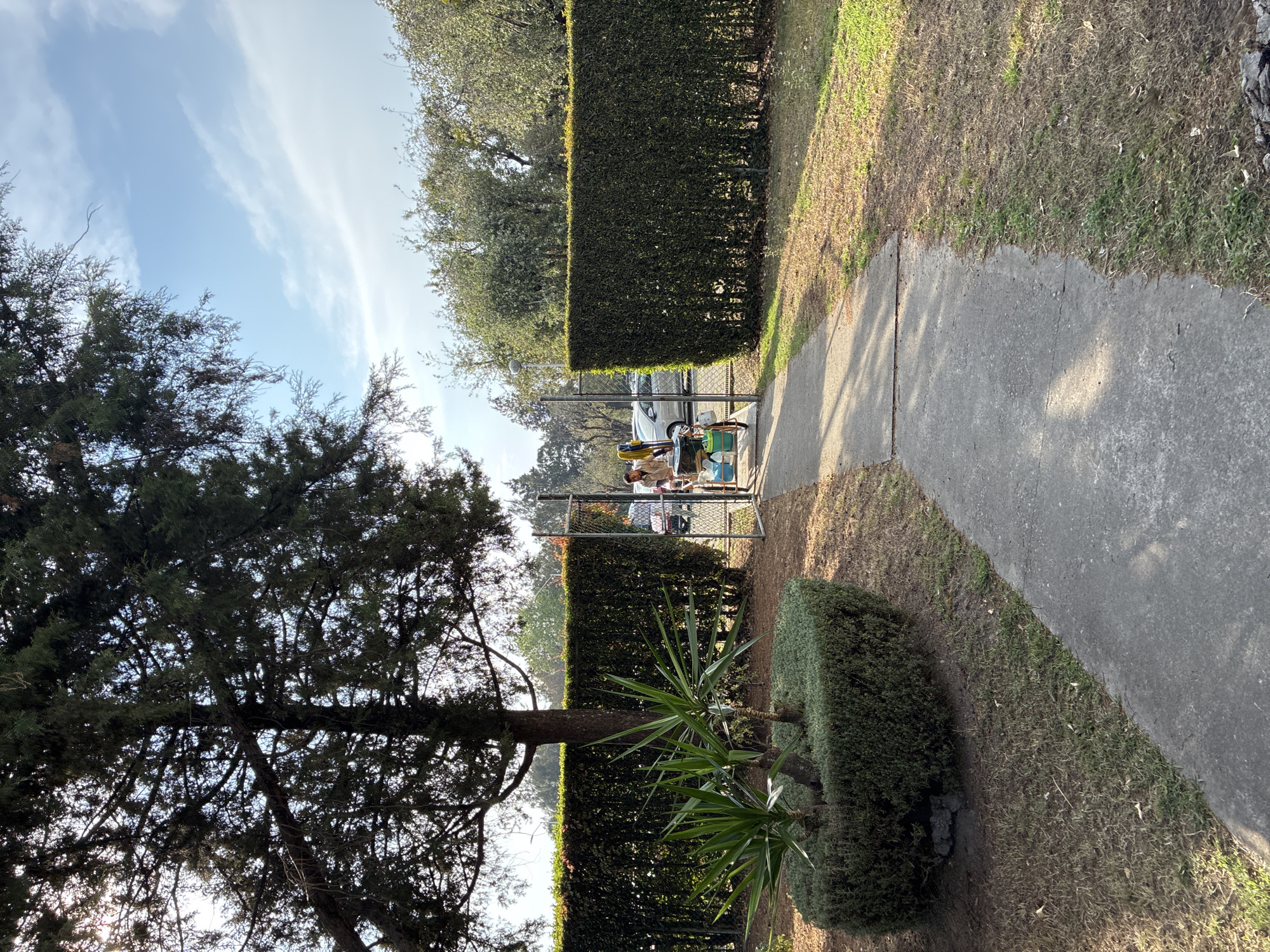 The image captures an outdoor scene in San Andrés Cholula, Mexico. A concrete walkway is visible on the right, bordered by grass and a neatly trimmed hedge. Beyond the hedge is a chain-link fence. Through the fence, one or two people are visible near a wheeled cart or wagon. A car is parked in the background. A large tree is located on the left side of the image. The sky is visible above the trees and hedges and shows a mix of blue and clouds.