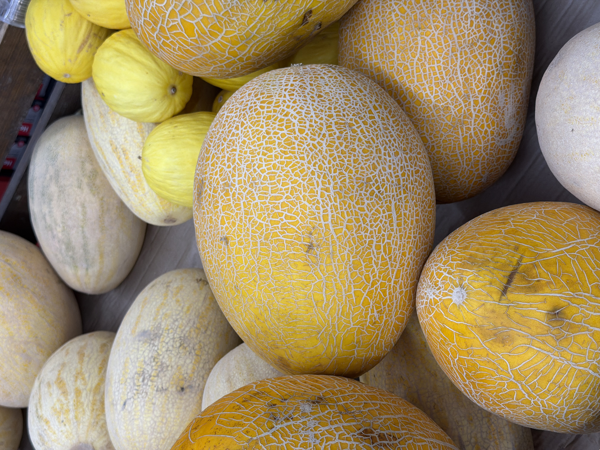 A close-up, overhead shot displays a variety of melons piled on a wooden surface. The dominant melons are a bright yellow with a distinctive white, netted rind pattern. There are also lighter-colored, pale yellow melons, some elongated and others more round. The melons are densely packed, with some in the foreground overlapping others further back. The lighting suggests an outdoor or well-lit indoor setting. No people are visible in the frame. The scene is characteristic of a market stall in Minsk, Belarus, where such produce is commonly sold.