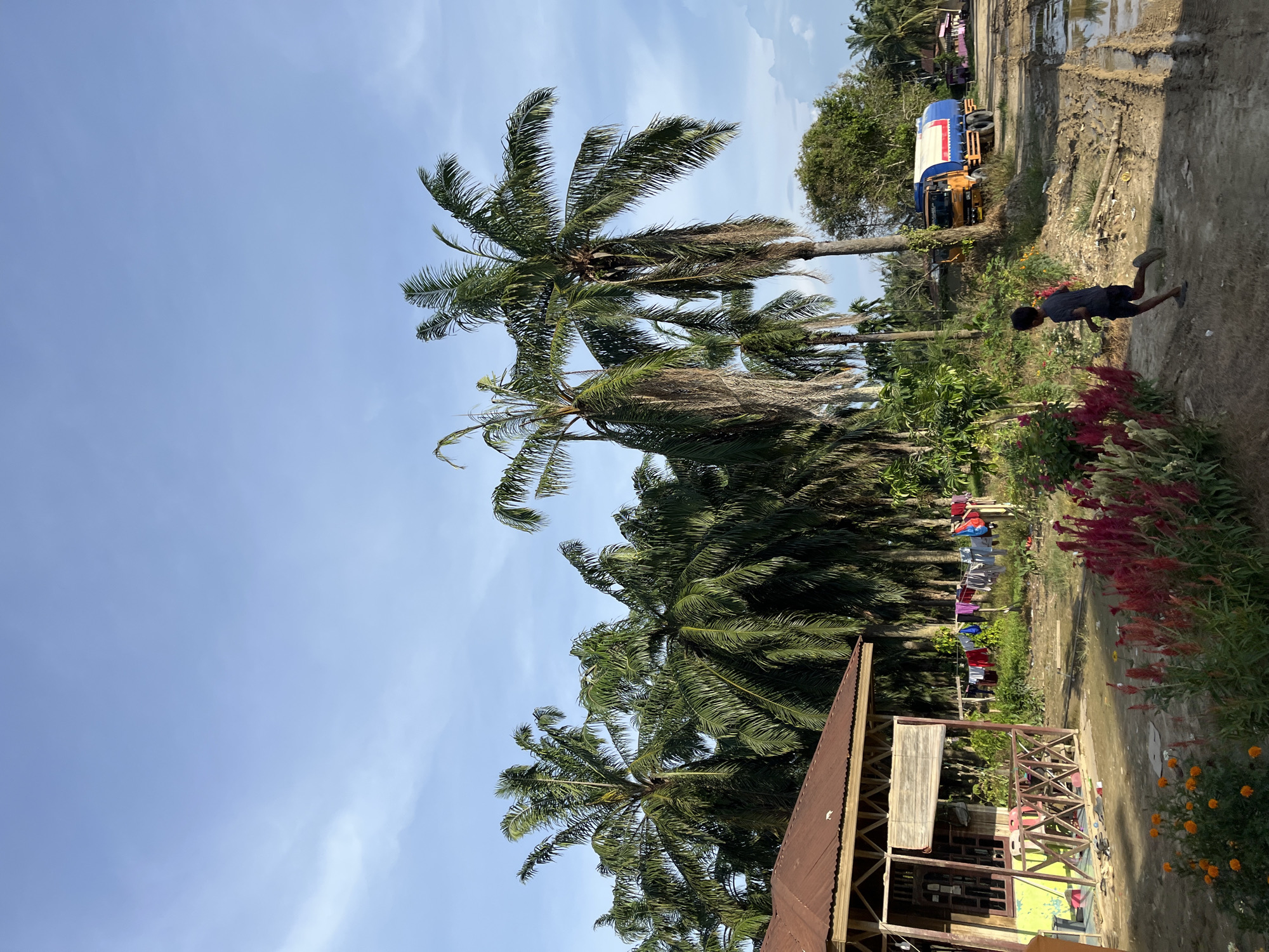This is a full shot, taken outdoors during the day, in the city of Landuh, Indonesia. A young boy is seen running on a muddy path. In the background, there are several palm trees, a small wooden house with laundry hanging on a line, and a water truck. The sky is blue with some clouds.