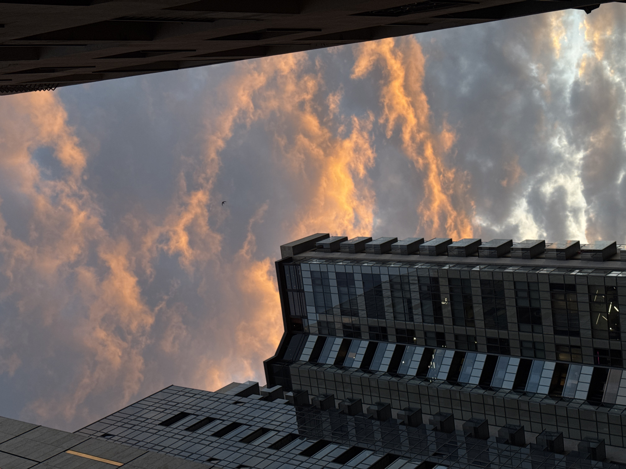 The image is a low-angle shot of the sky at dusk, framed by buildings. The sky is filled with clouds that are illuminated with a golden hue from the setting sun on the left side, while the right side is still light. A small bird is seen flying in the sky. The buildings are modern with dark, reflective glass facades. The location is in Yerevan, Armenia.