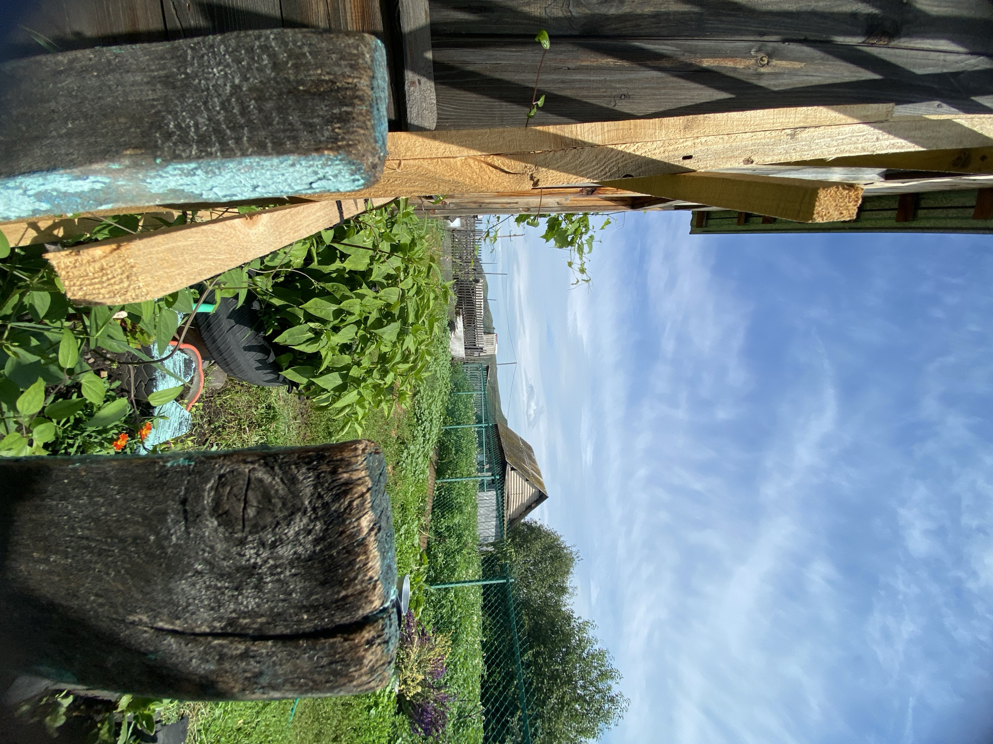 In the city of Maloarslangulovo, Russia, on a sunny day with scattered clouds, a wooden fence post painted partially blue stands in the foreground, obscuring a view into a garden. Beyond the post, a weathered wooden wall is visible on the left, with sunlight casting a diamond-shaped shadow pattern. A light-colored wooden beam extends diagonally from the wall towards the right. The garden features lush green plants, including what appears to be a large bush in a black tire planter. A green chain-link fence separates the garden from a small, rural house with a rustic roof in the background. Trees are visible behind the house, and the sky is a clear blue with thin, wispy clouds. The overall scene depicts a typical dacha (summer house) environment.