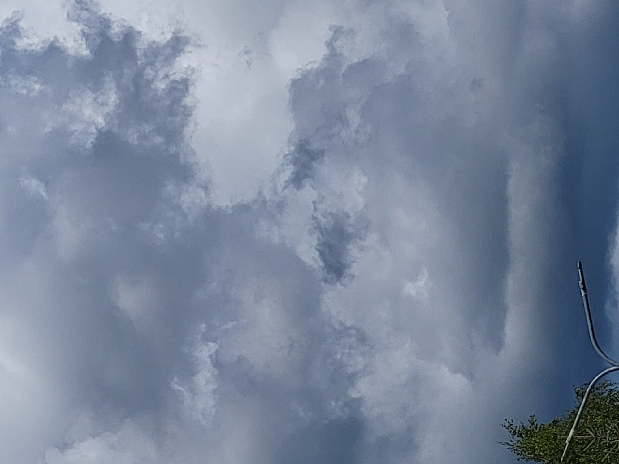The image captures a cloudy sky over Ozolnieki, Latvia. The sky is filled with dense, dark gray clouds, suggesting impending rain or overcast weather. In the lower portion of the frame, two streetlights with a modern, curved design are visible, their metallic poles extending upwards. To the left of the streetlights, the top of a green tree with dense foliage can be seen. The overall impression is one of a typical overcast day in the Latvian landscape.