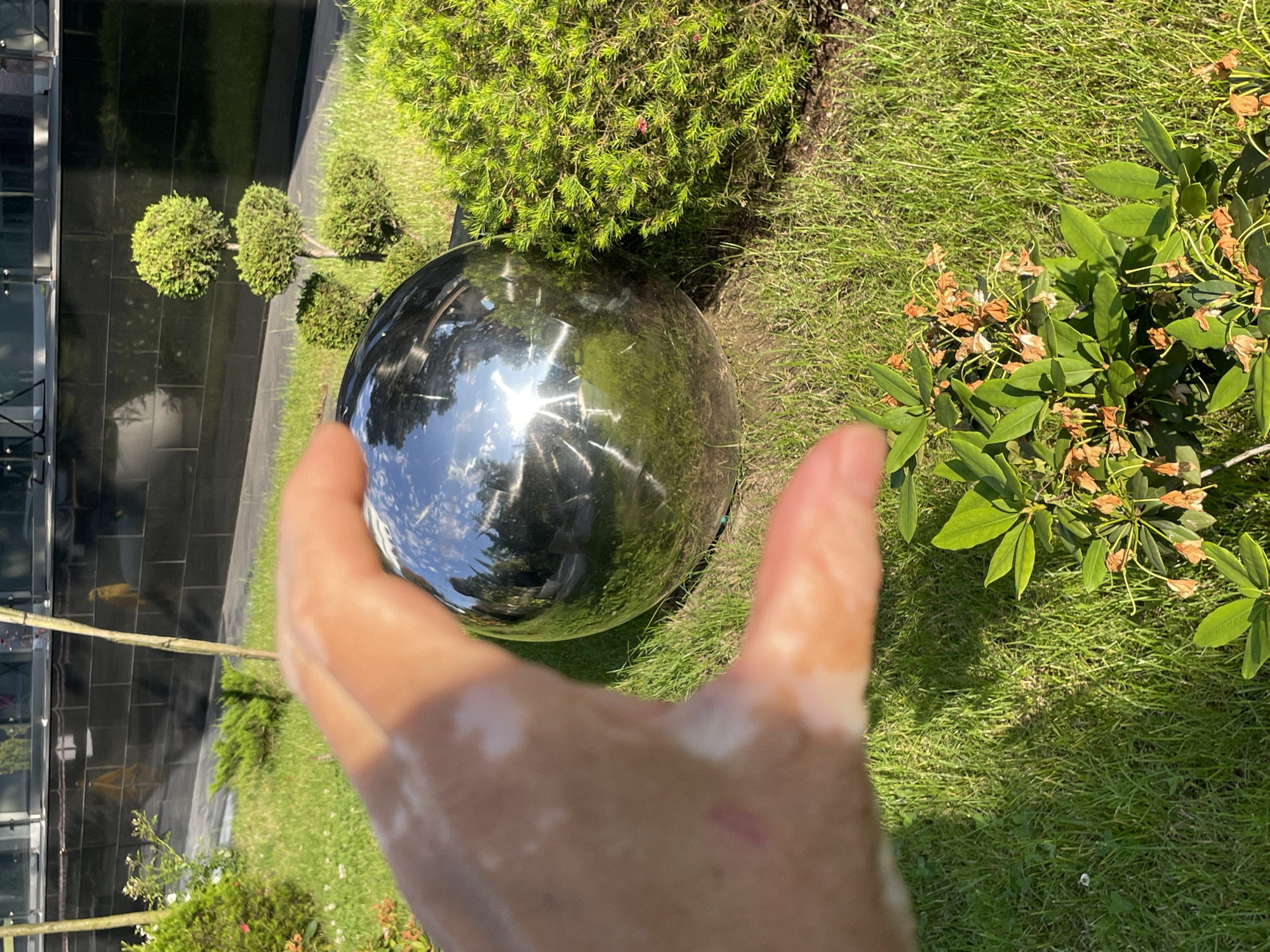 A hand, with what appears to be residue on the skin, is held in the foreground, partially obscuring a shiny, reflective sphere resting on a patch of green grass. The sphere reflects the surrounding environment, including trees and buildings. In the background, a black building with glass panels and manicured shrubs are visible. The scene is illuminated by bright sunlight. The location appears to be an outdoor urban setting, possibly a park or landscaped area, in Sochi, Russia.