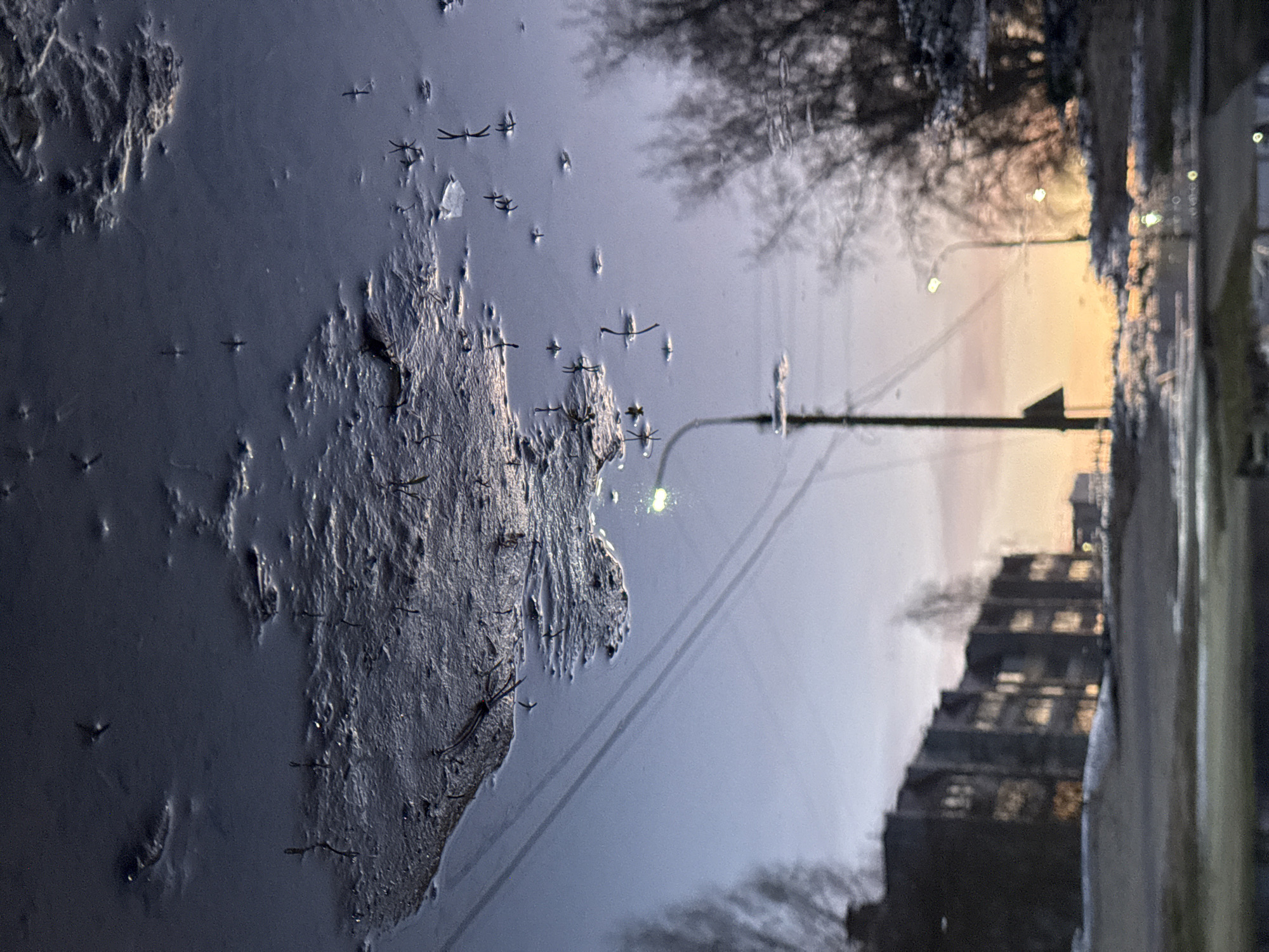 This vertical image captures a close-up view of a puddle, reflecting an urban environment. The left side of the frame is dominated by the dark, textured surface of the puddle, which appears to contain mud or fine sediment, possibly with ripples or partially solidified sections. Numerous small, slender, insect-like creatures, resembling water striders, are seen resting on or moving across the water's surface, creating subtle depressions or shadows.
The right side of the image reveals a detailed reflection of a street scene. A warm, yellowish-orange glow, indicative of either sunrise or sunset, is visible in the upper part of the reflection. A tall, dark utility pole or streetlight stands prominently, with overhead power lines extending from it. One of the streetlights on the pole emits a bright, white glow. Below the sky and pole, the dark silhouettes of multi-story buildings are reflected, with several windows brightly illuminated, suggesting evening or early morning. Bare tree branches are also visible in the reflection, particularly in the upper central and right sections.
The scene conveys a sense of quiet observation at either dawn or dusk, marked by the contrasting warm light of the sky and artificial illumination against the cooler tones of the water and urban structures. The bare trees suggest a late autumn or winter season. No specific human activity is visible, but the active streetlights and building lights imply ongoing life in the urban setting. There is no visible text in the image.
