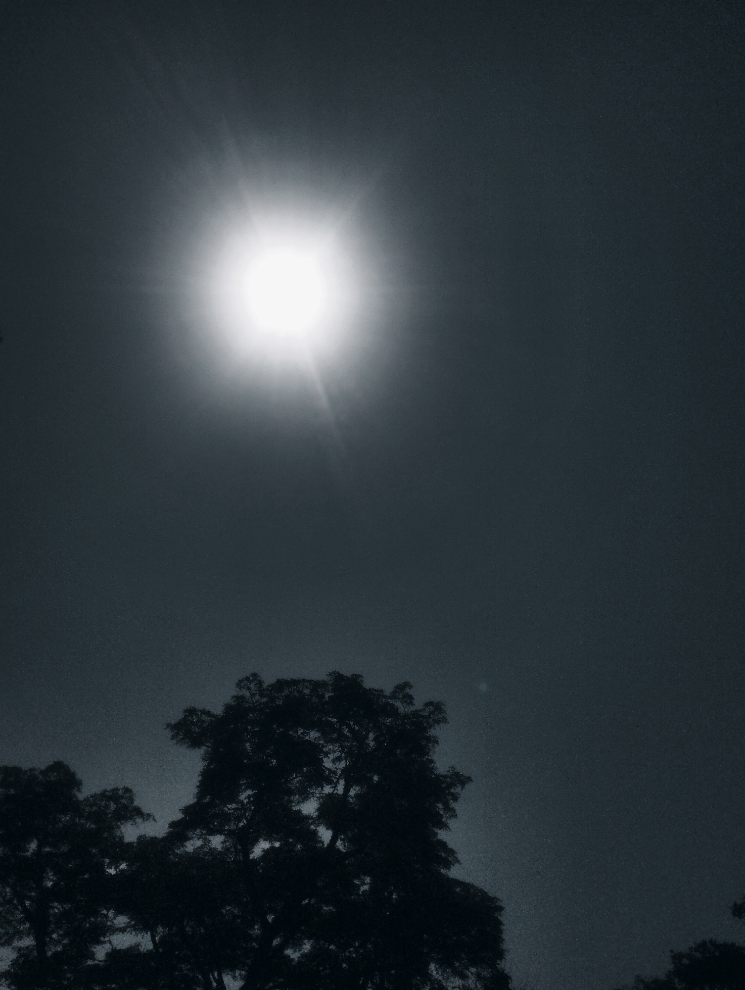The image depicts a silhouette of trees against a dark, overcast sky, illuminated by the bright glare of the sun. The sun is a dominant feature in the upper center of the frame, emitting strong rays that spread outwards, suggesting either sunrise or sunset, or perhaps a midday sun obscured by heavy clouds. The trees at the bottom of the image are rendered as dark, solid shapes, their intricate branches and foliage barely discernible against the bright sky.
The overall mood is dramatic and somewhat mysterious due to the high contrast between the bright sun and the dark silhouettes. The texture of the image appears grainy, which could be due to the lighting conditions or the camera used. No people are visible, nor are there any specific objects or text. The scene suggests an outdoor setting, likely a natural landscape or a park, given the presence of trees. The time of day is implied to be either early morning or late evening, as indicated by the position and intensity of the sun behind the clouds. The weather appears to be overcast, with the sun's light filtering through a thick layer of clouds. The location context of Jos, Nigeria, places this scene within a specific geographical and cultural setting, although there are no distinct visual cues in the image to confirm this location beyond the general appearance of trees.